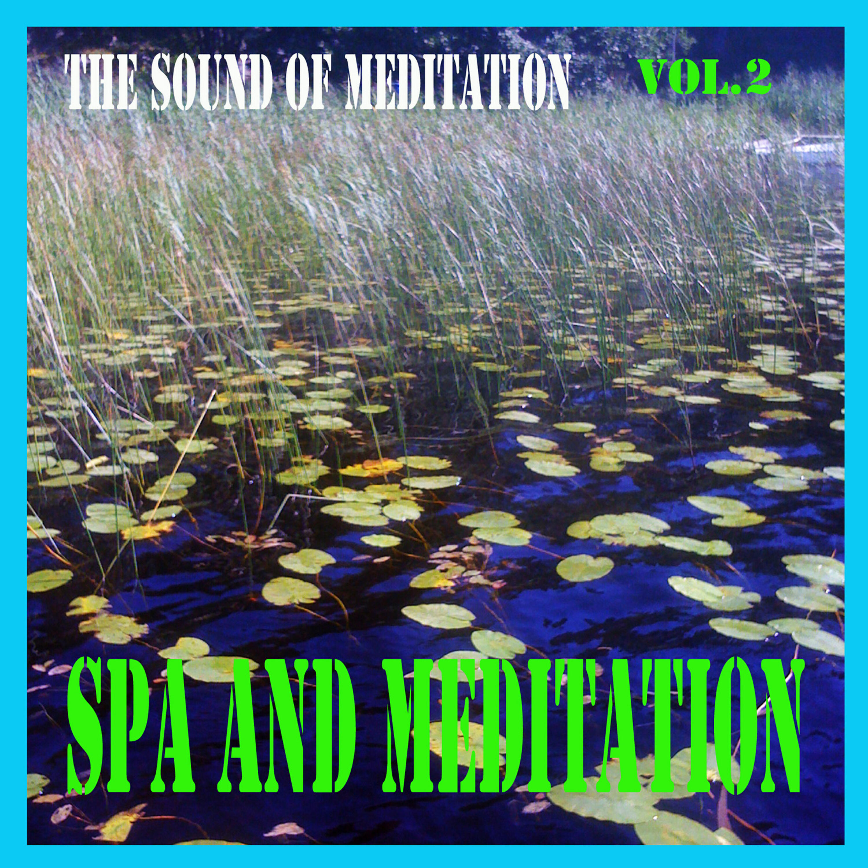 Релиз Spa and Meditation, Vol. 2