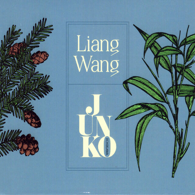 Liang Wang