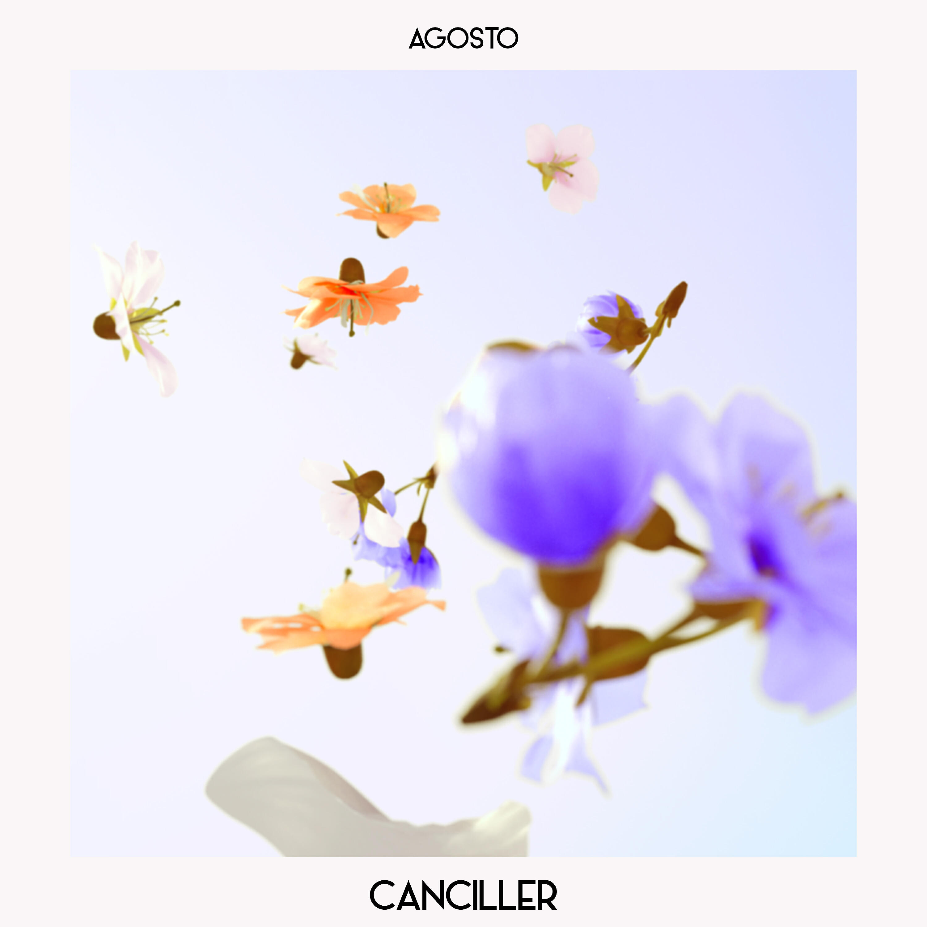 Canciller
