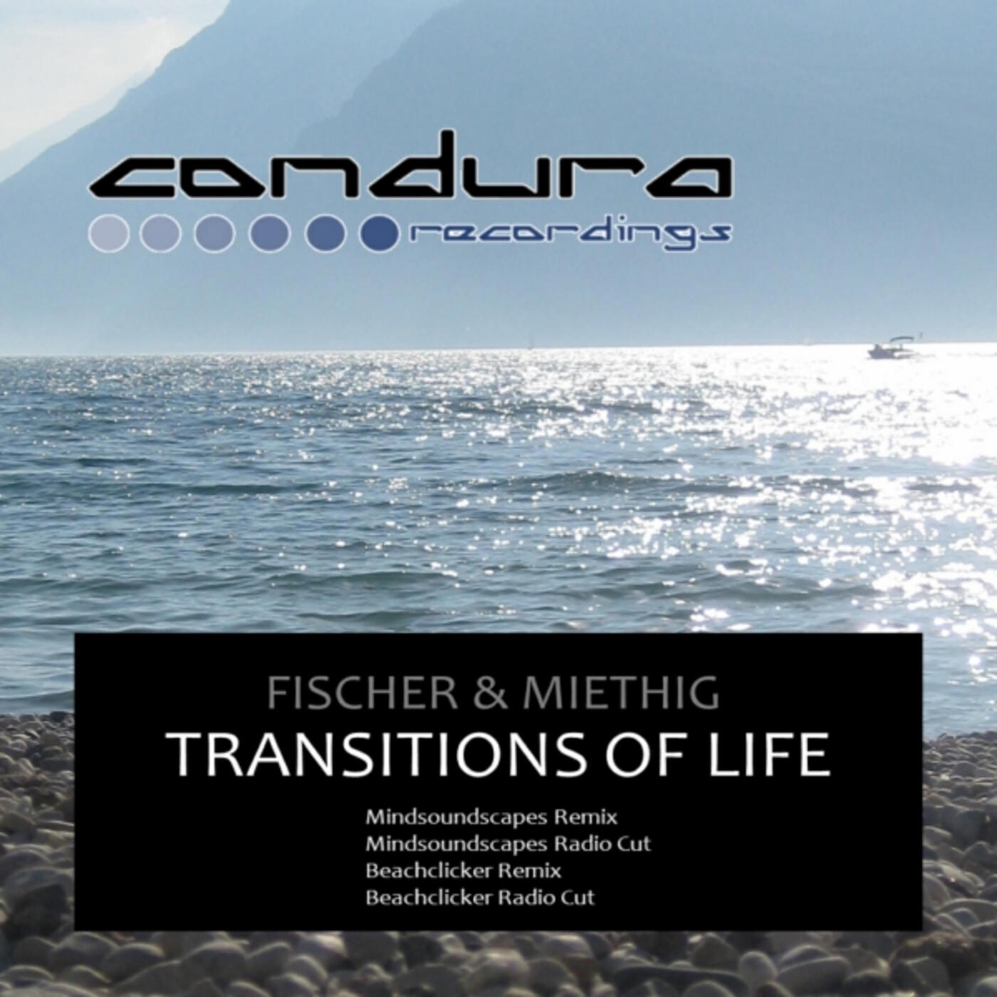 Релиз Transitions Of Life