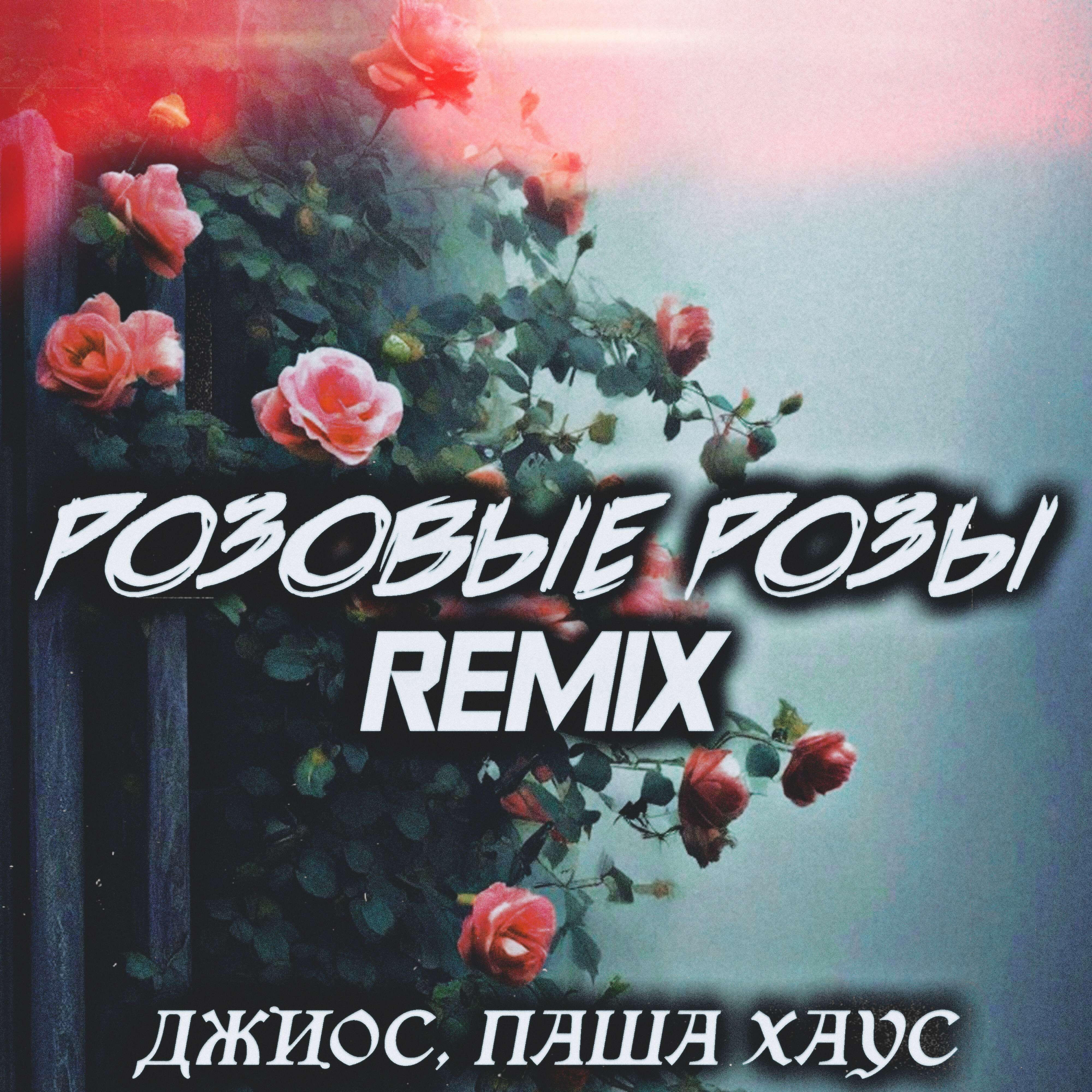 Релиз Розовые розы