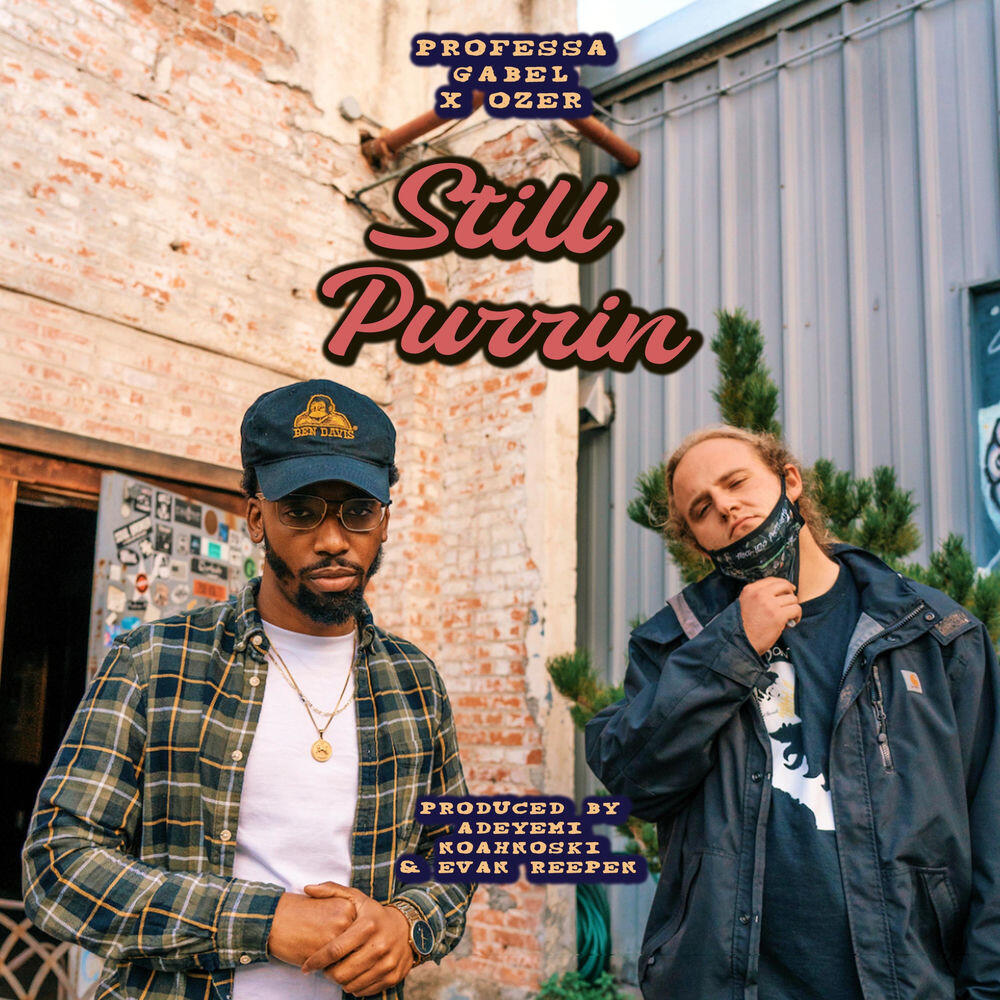 Релиз Still Purrin'