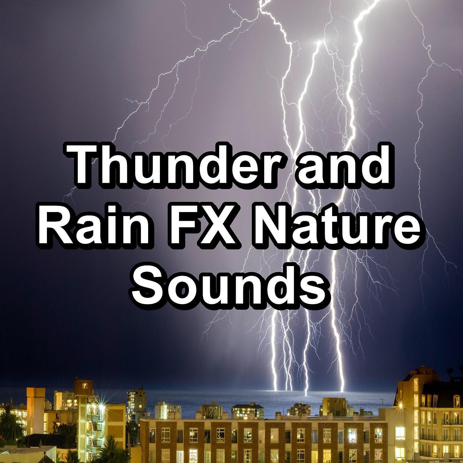 Релиз Thunder and Rain FX Nature Sounds