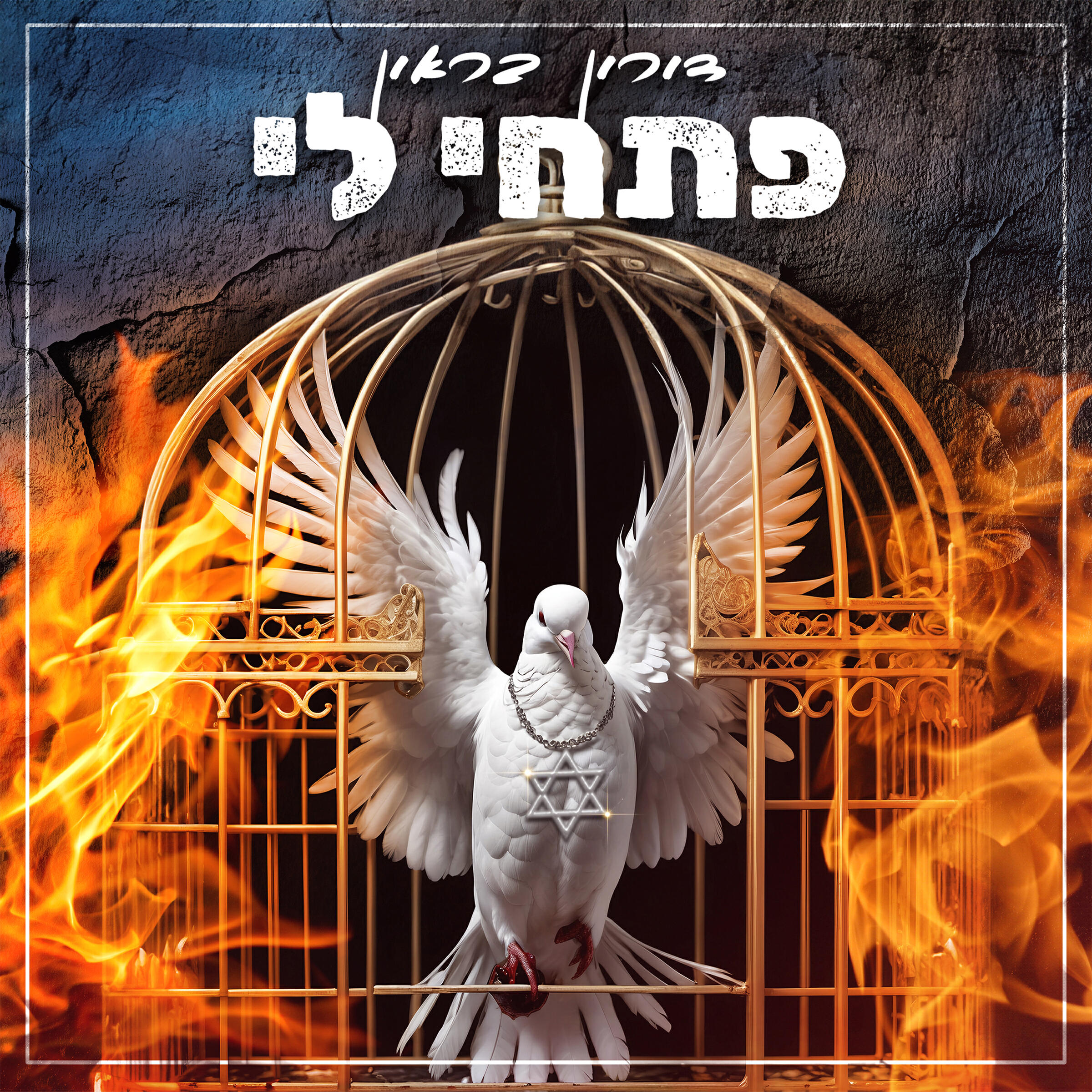 Релиз פתחי לי
