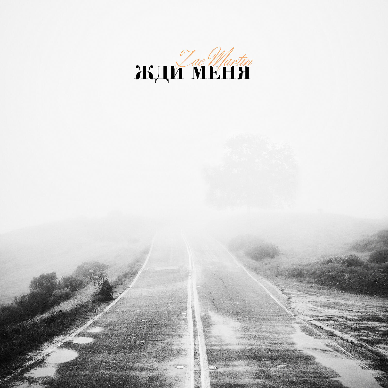 Релиз Жди меня