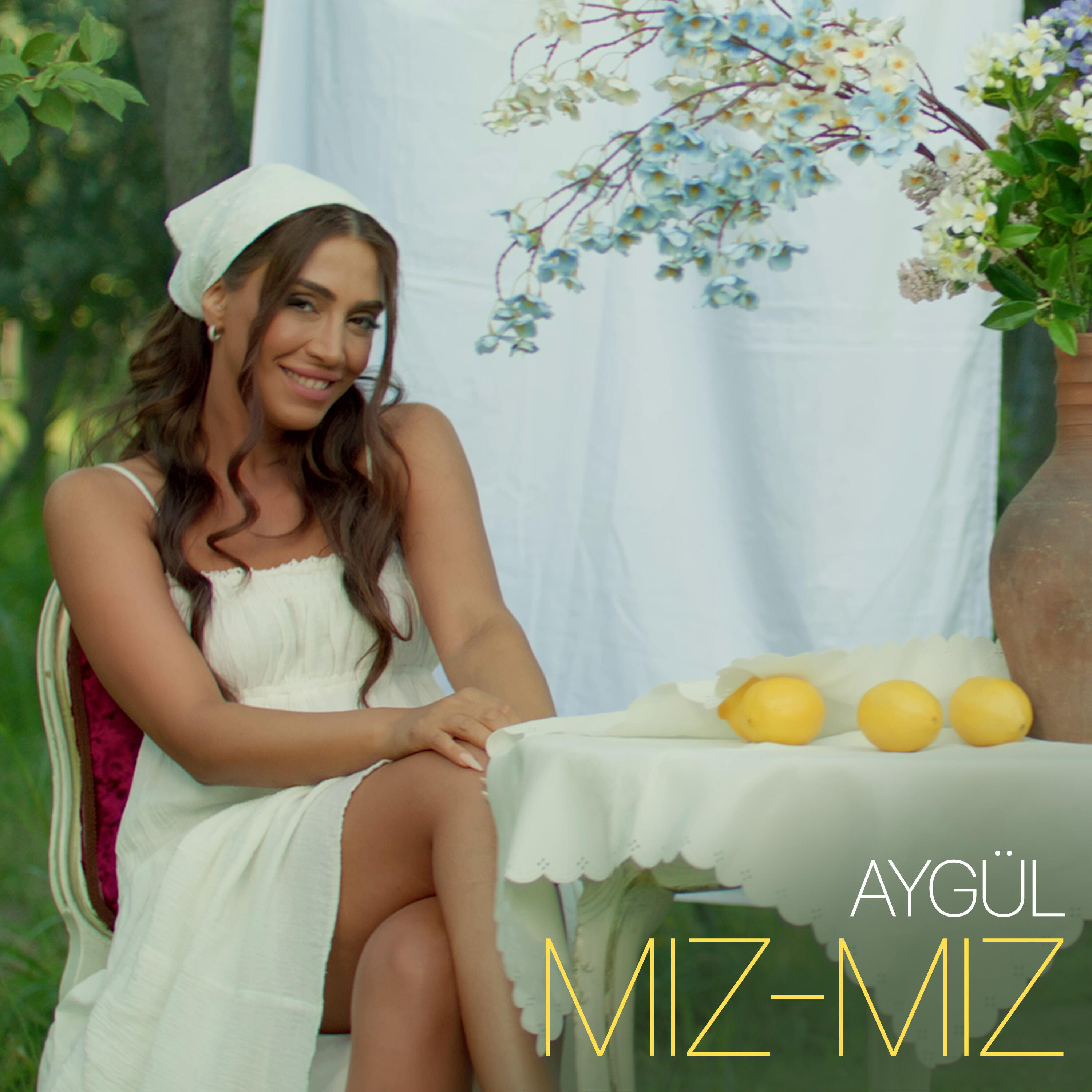Постер к треку Aygül - Mız-Mız