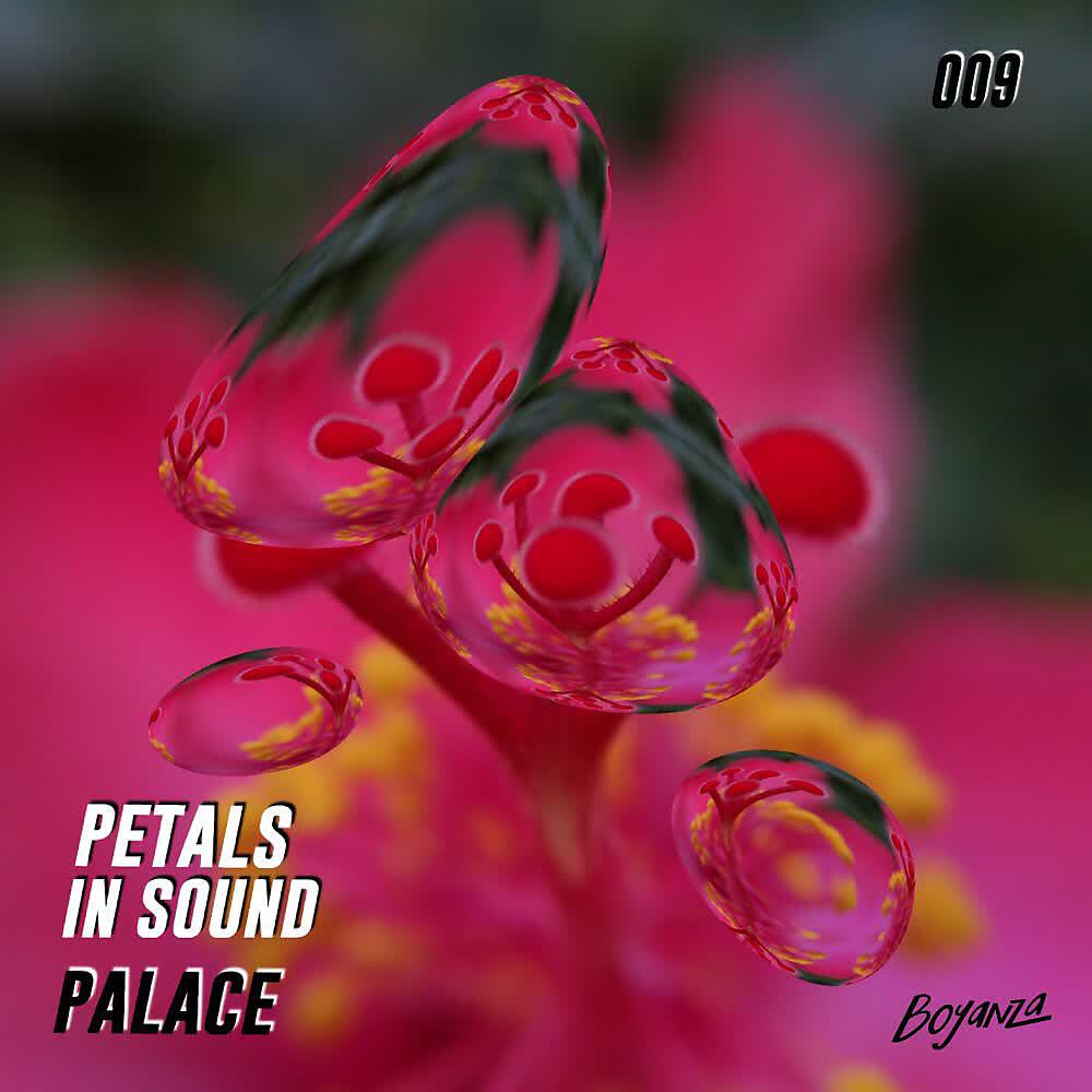 Релиз Palace