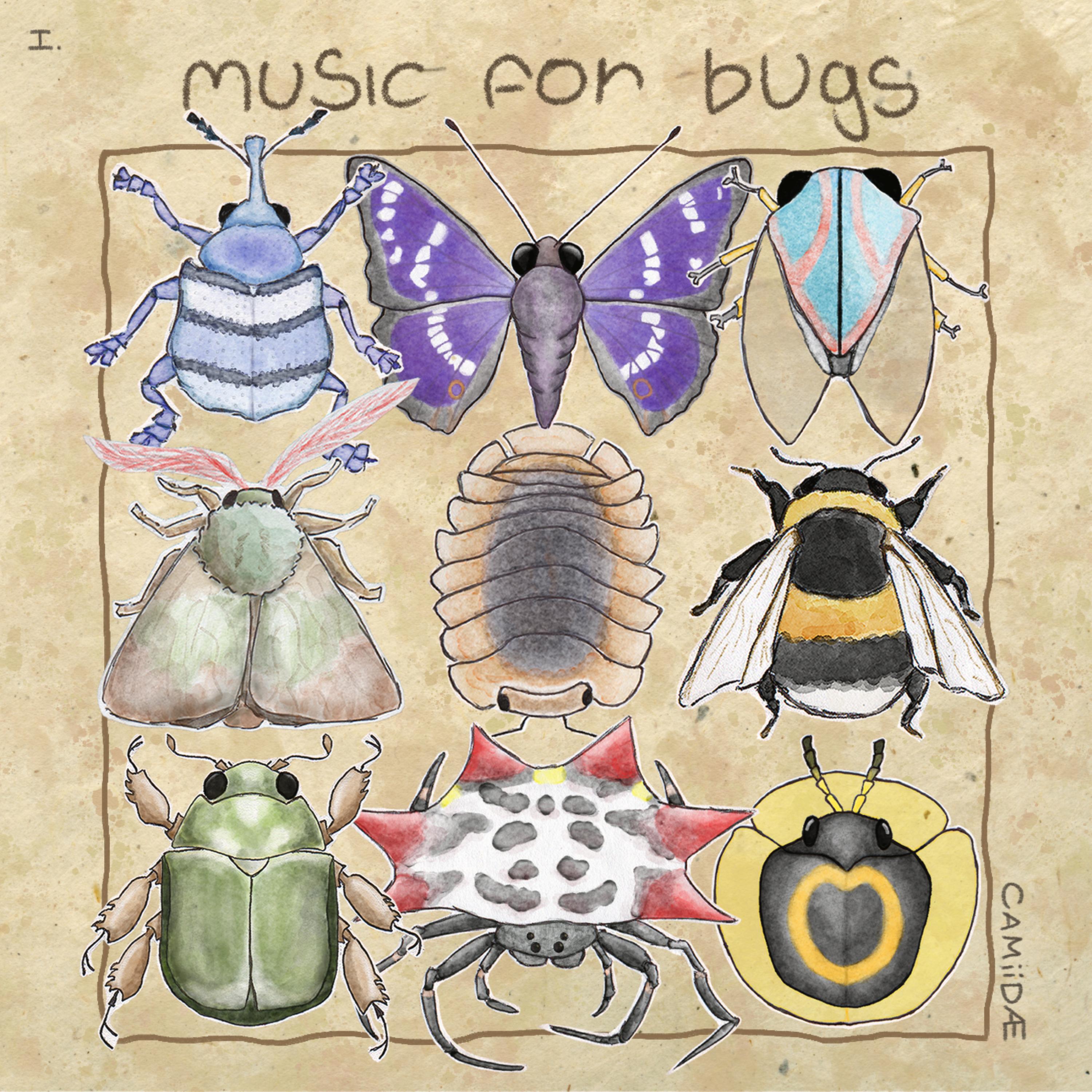 Релиз music for bugs