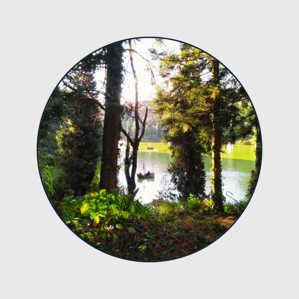 Релиз Lago Negro