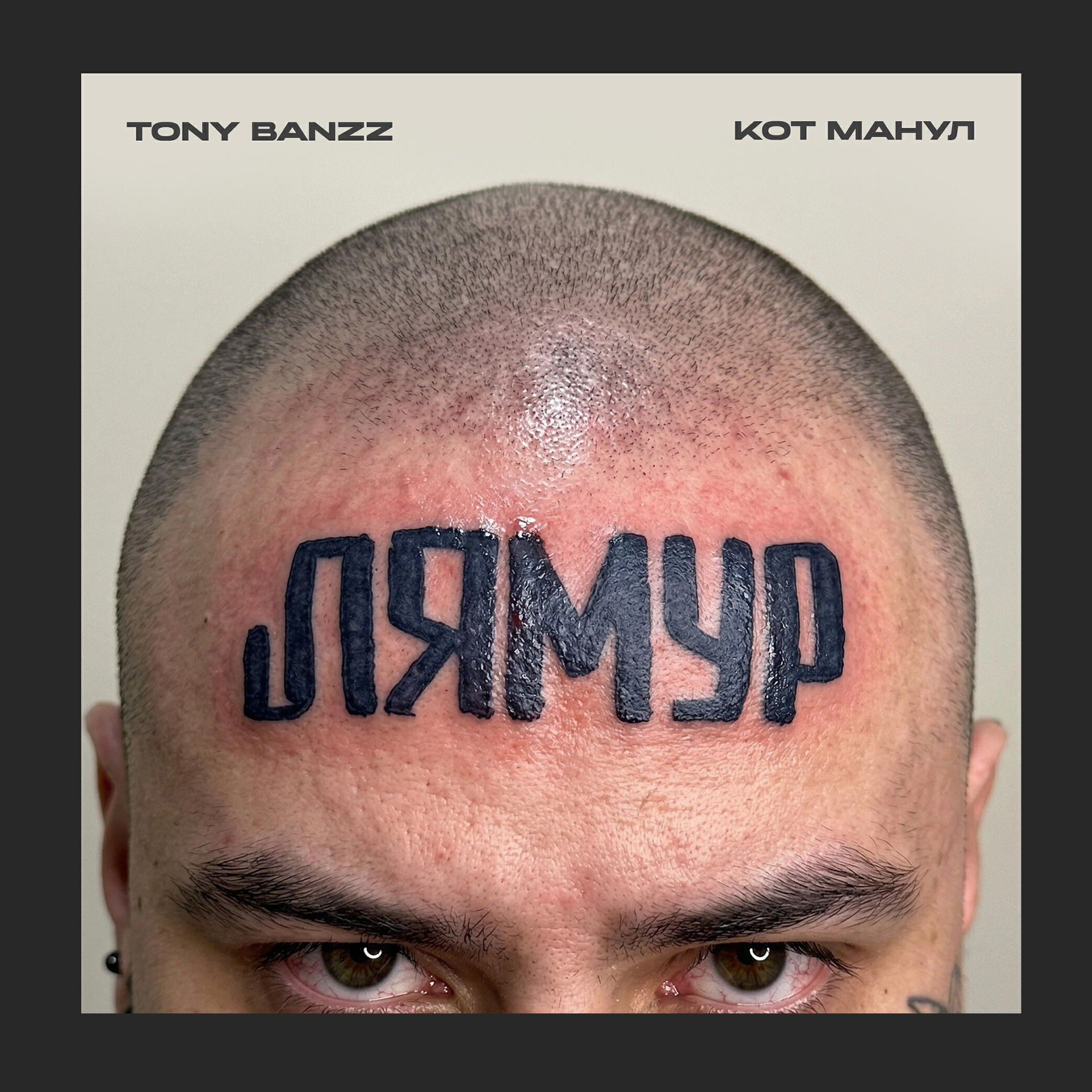 КОТ МАНУЛ
