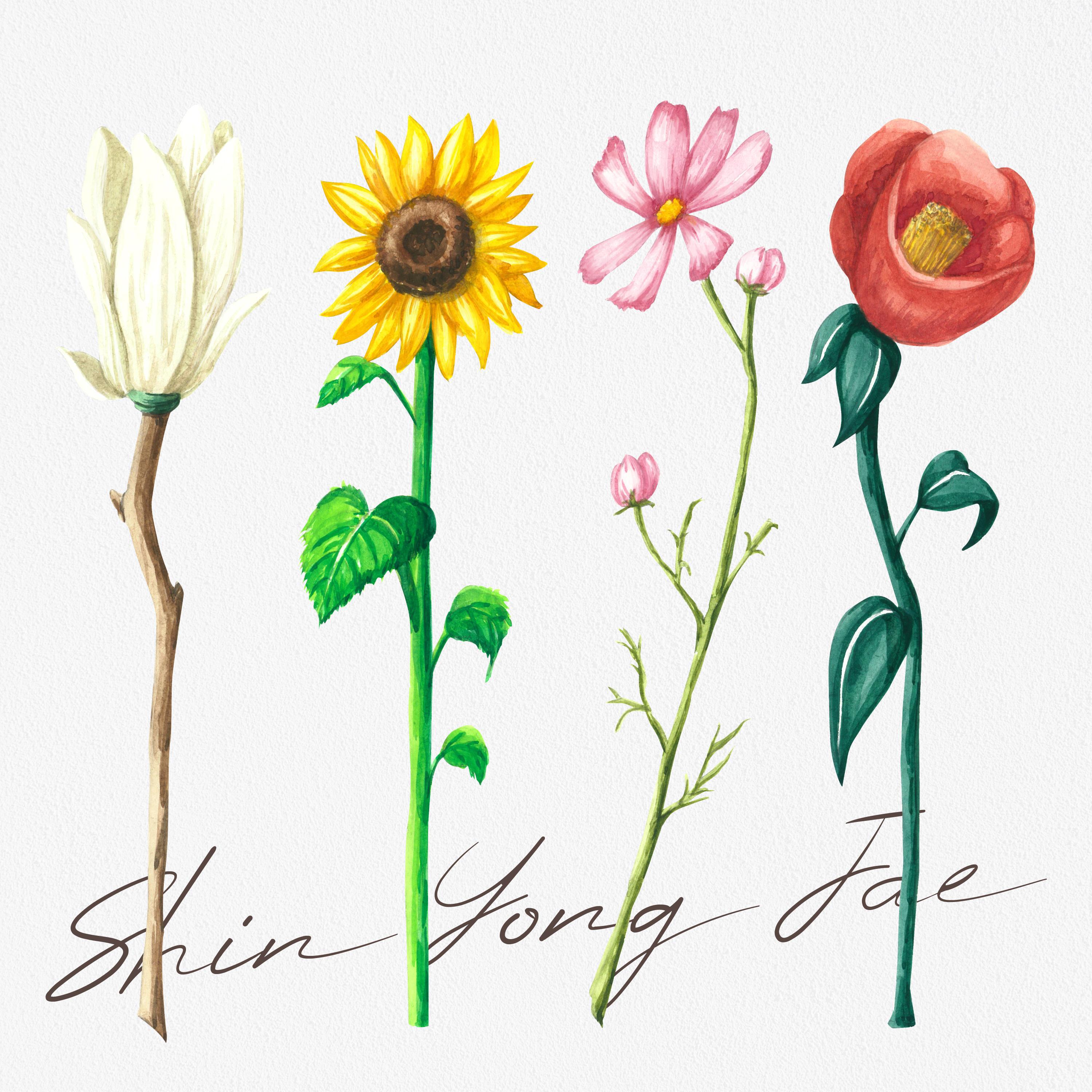 Релиз The Four Seasons