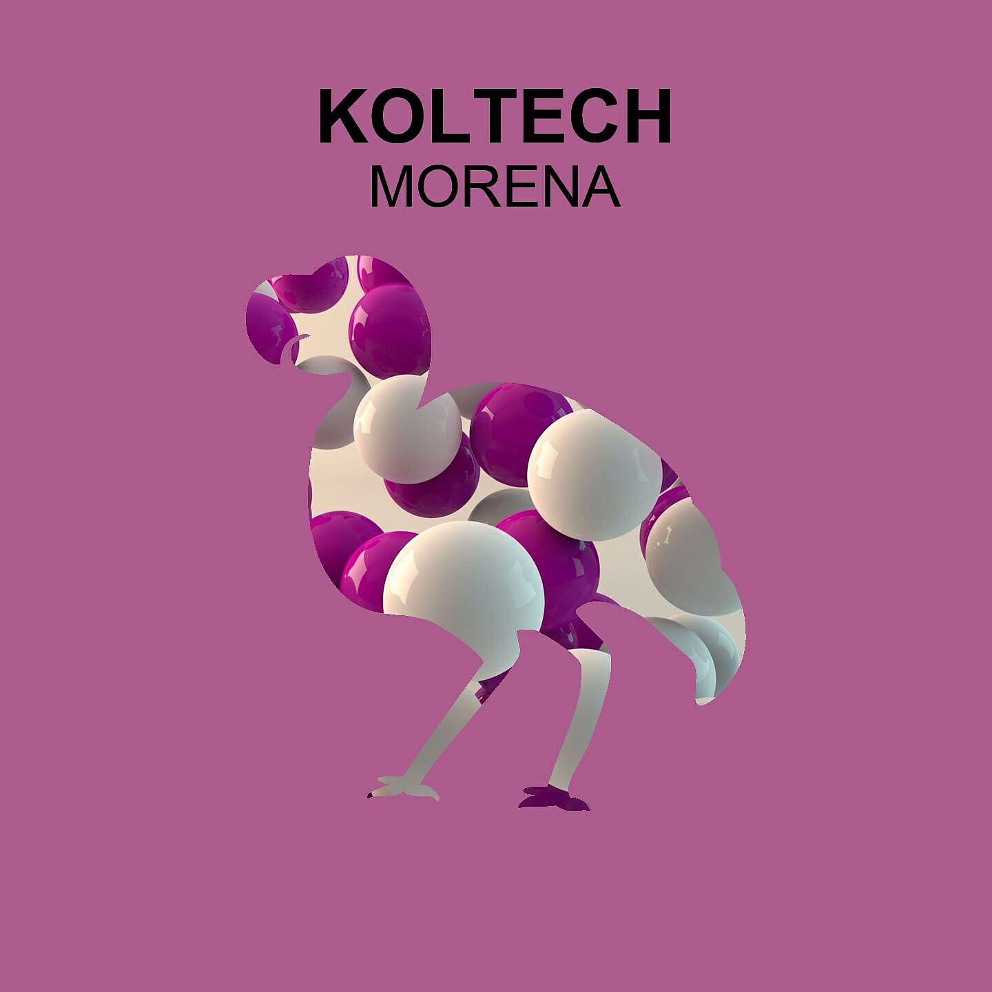 Релиз Morena