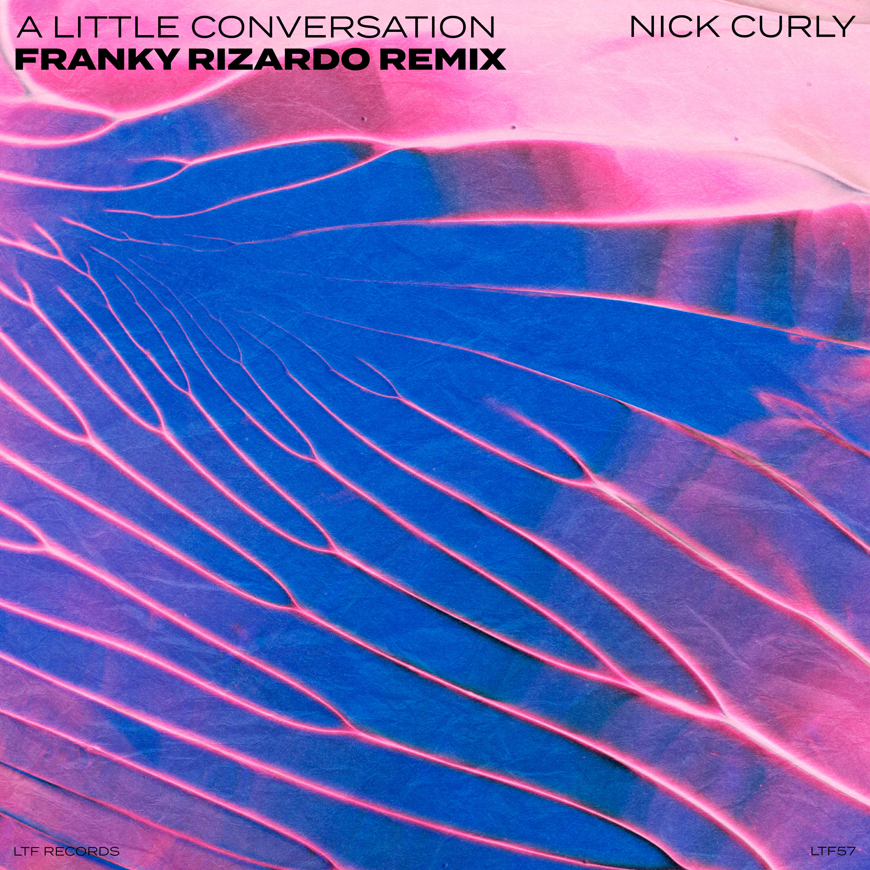 Релиз A Little Conversation (Franky Rizardo Remix)