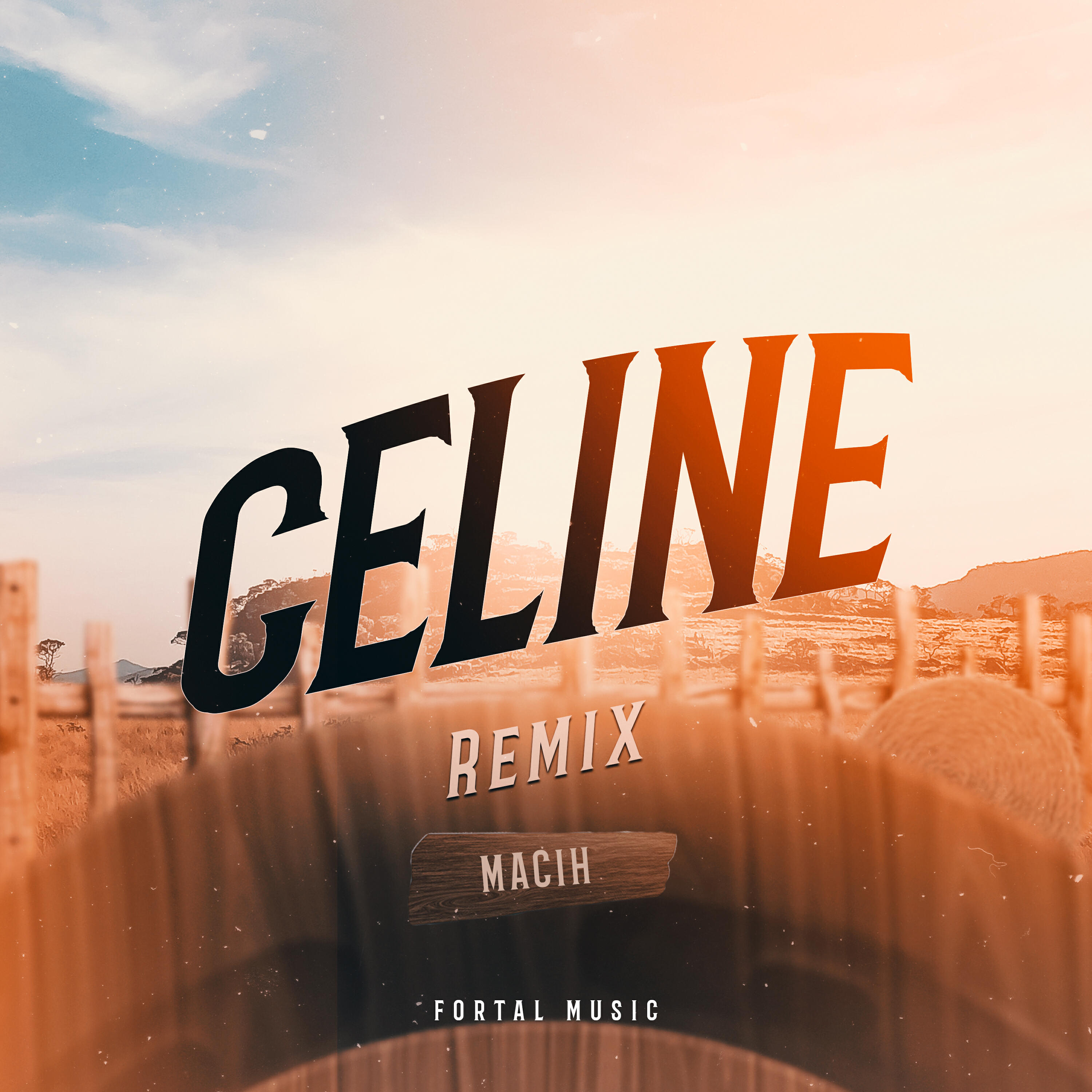 Релиз CELINE (Remix)