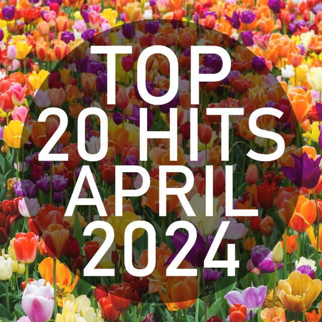 Релиз Top 20 Hits April 2024 (Instrumental)