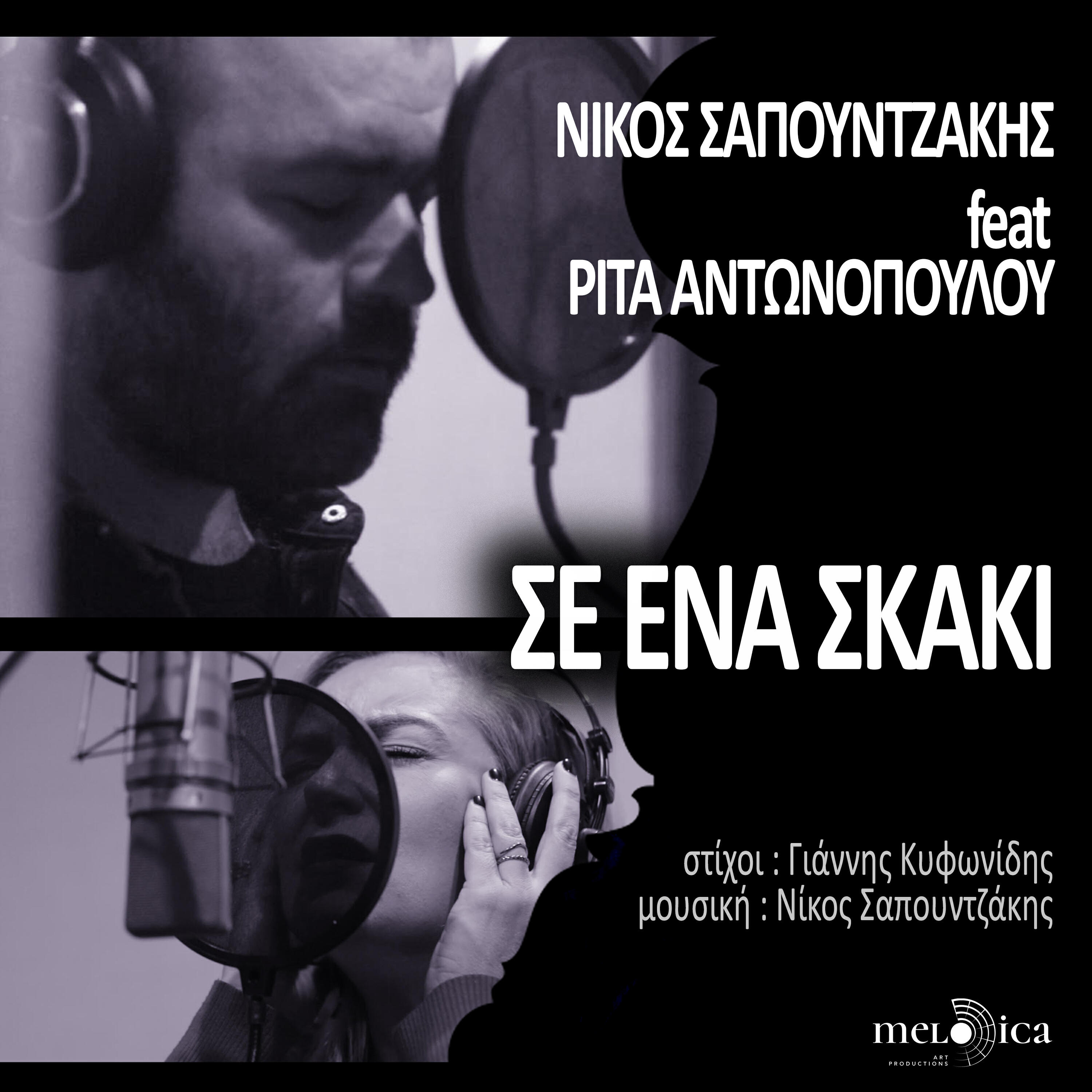 Nikos Sapountzakis