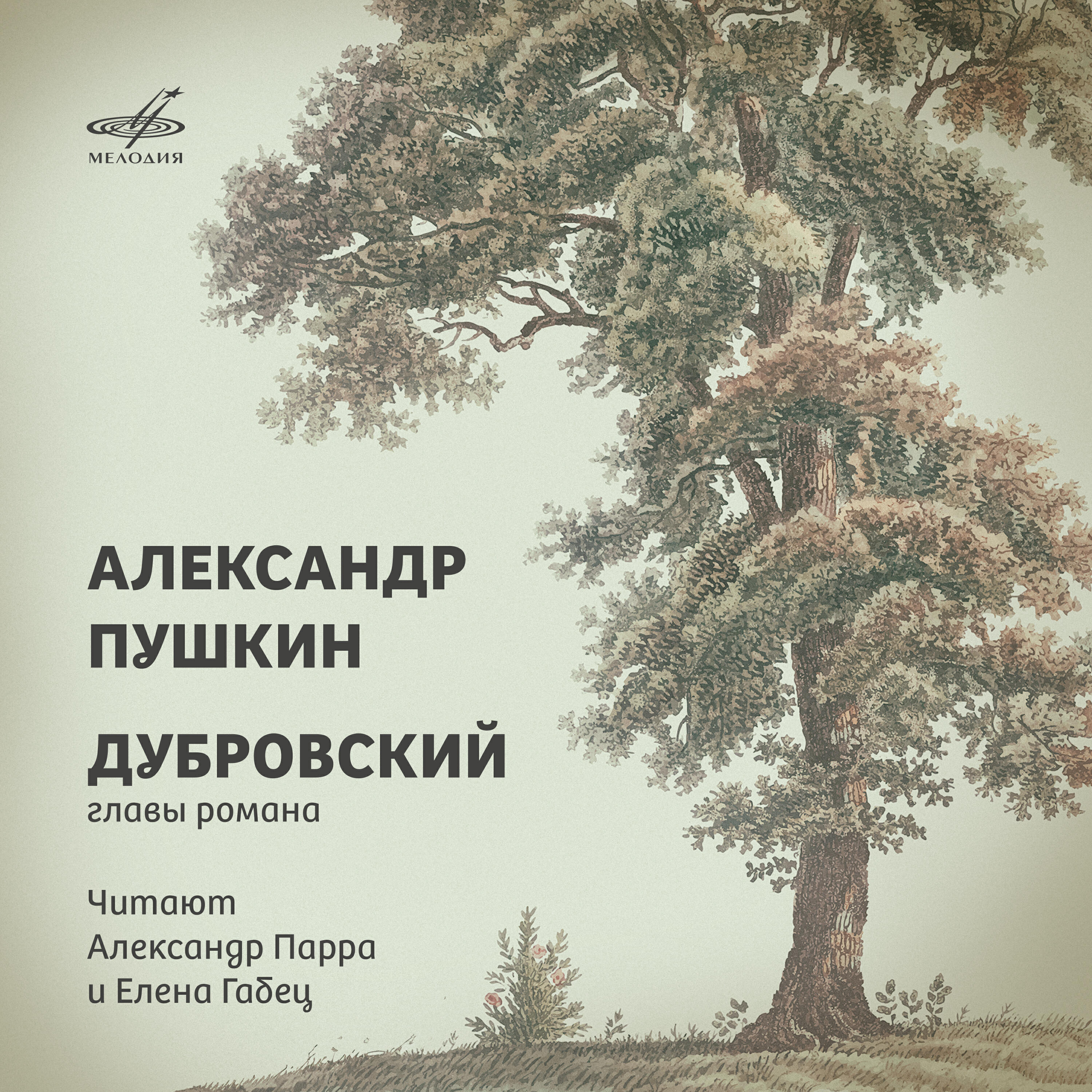 Елена Габец