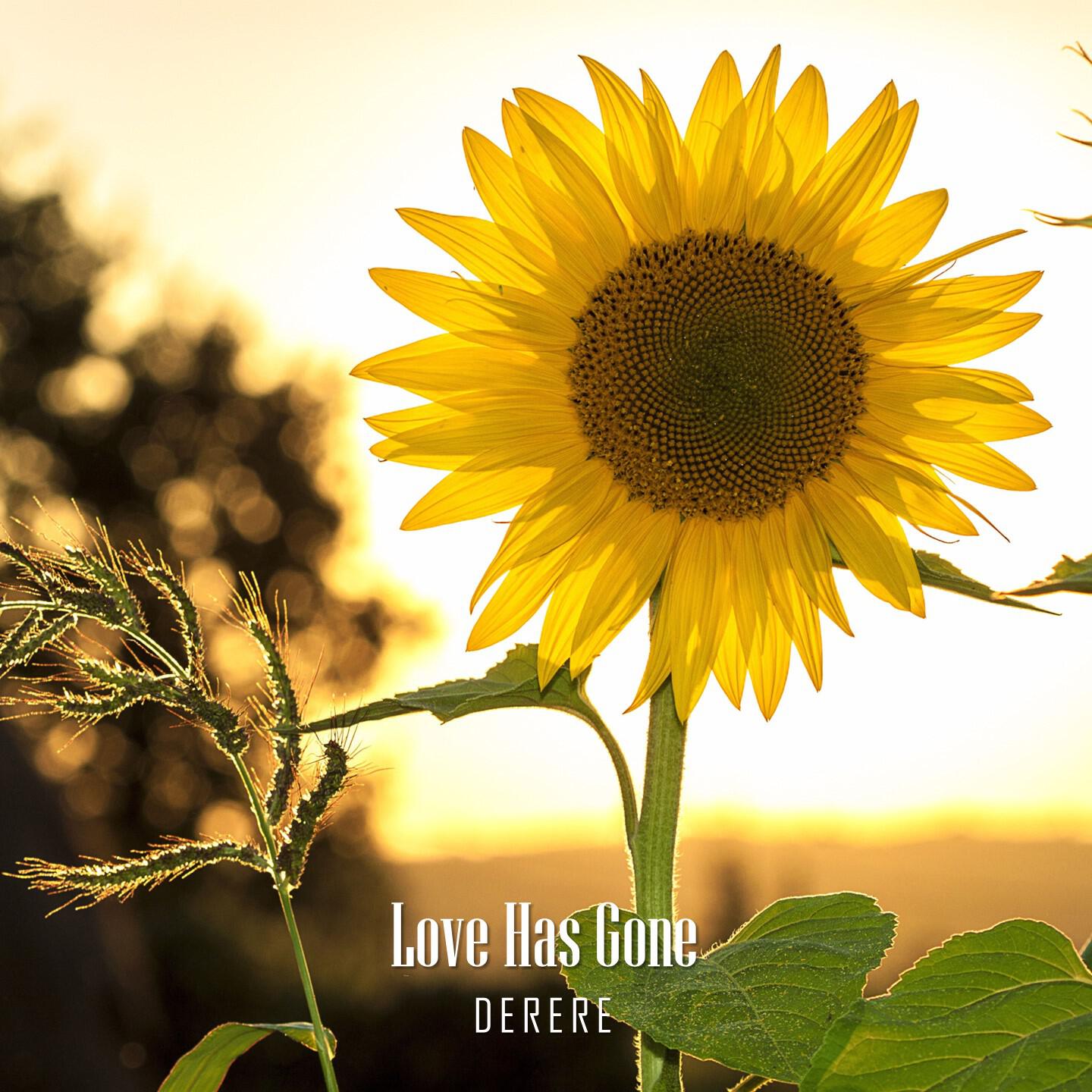 Релиз Love Has Gone