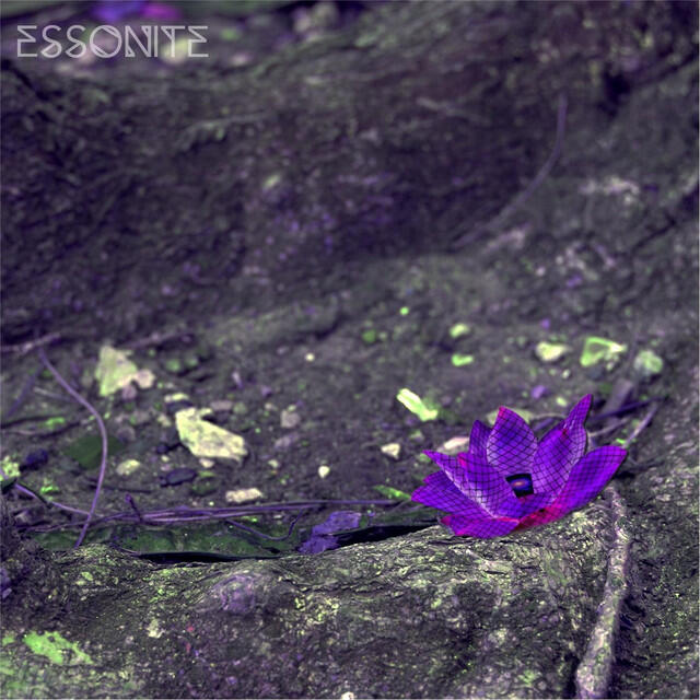 Релиз Block Steady