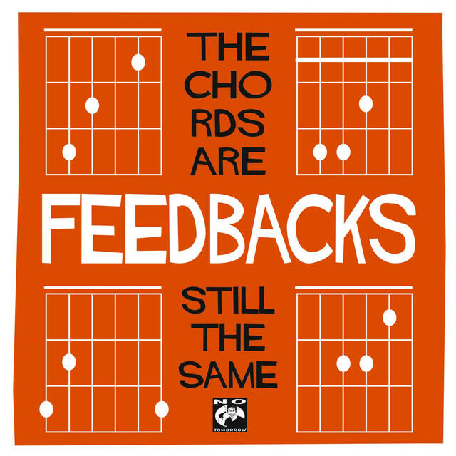 The Feedbacks