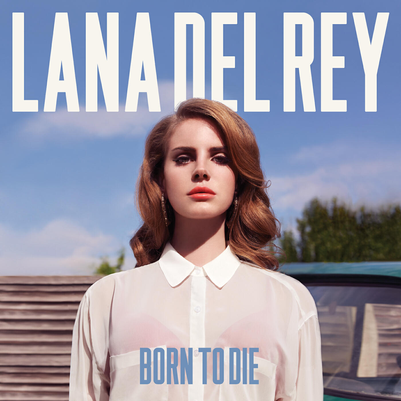 Постер альбома Born To Die