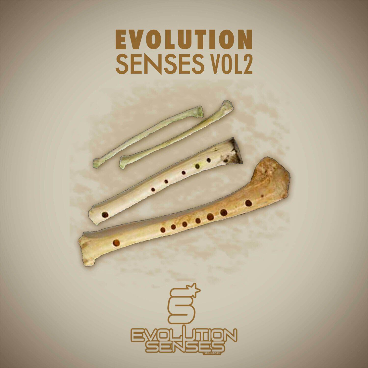 Релиз Evolution Senses Vol2