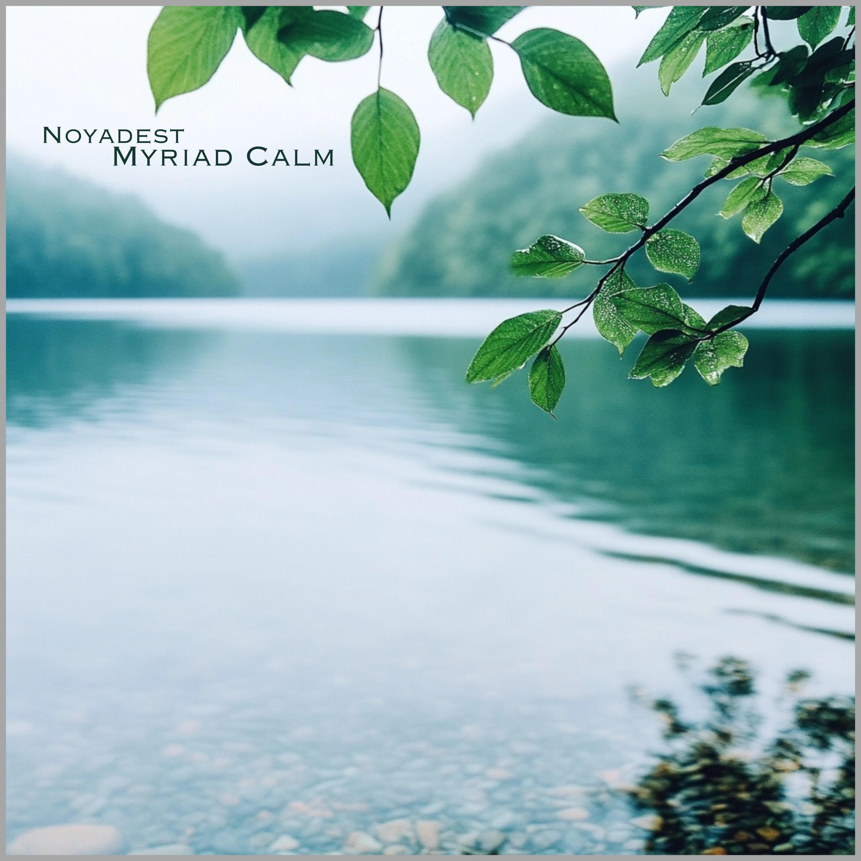 Релиз Myriad Calm