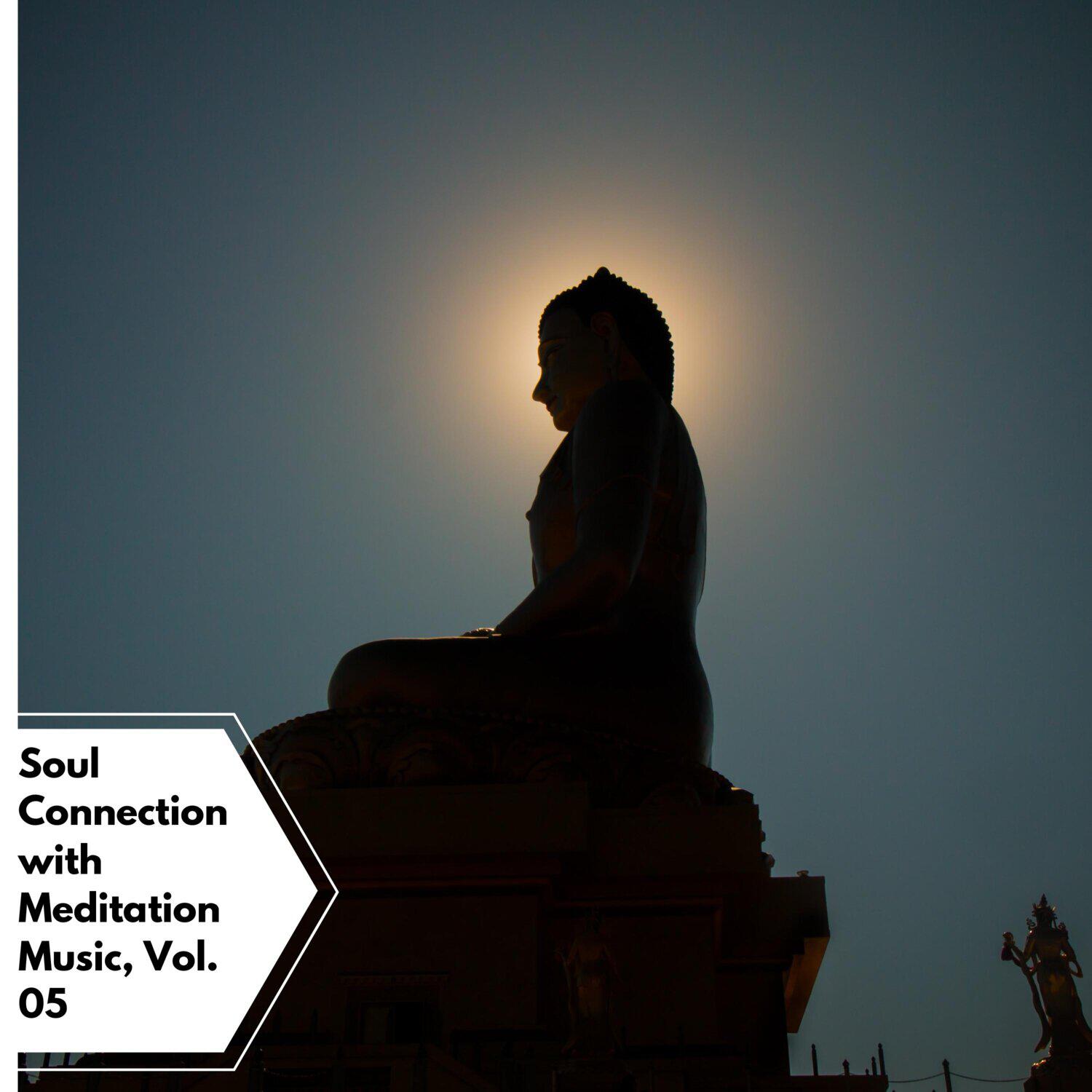 Релиз Soul Connection with Meditation Music, Vol. 05