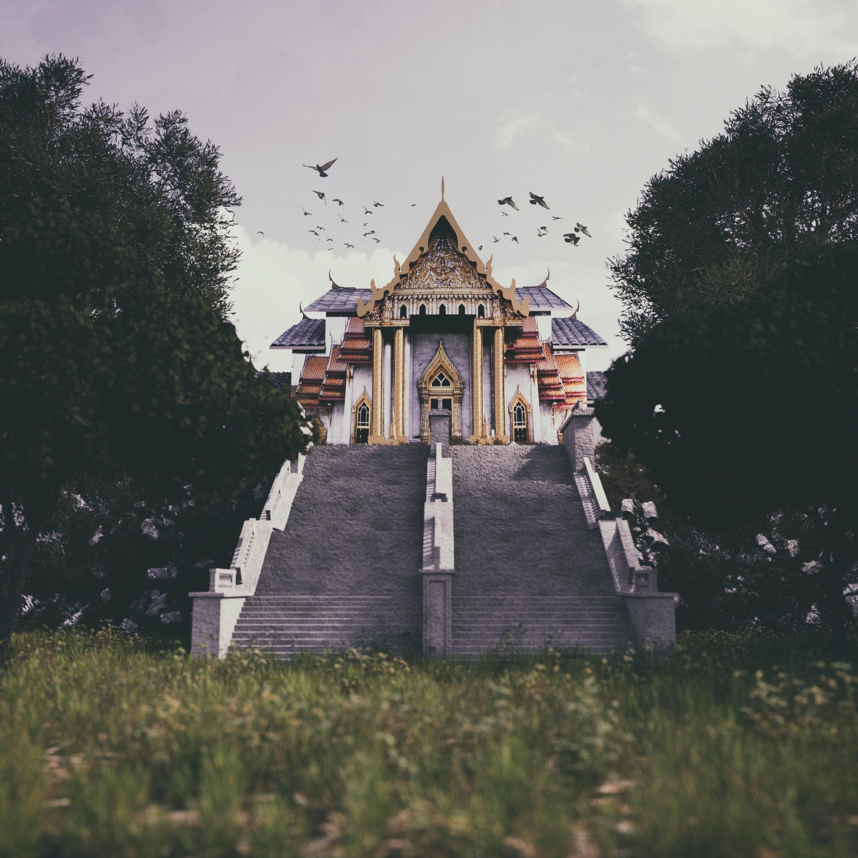 Релиз Spirit of the Forest