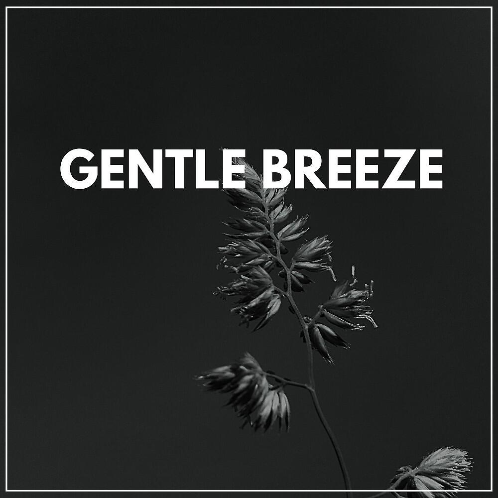 Релиз Gentle Breeze