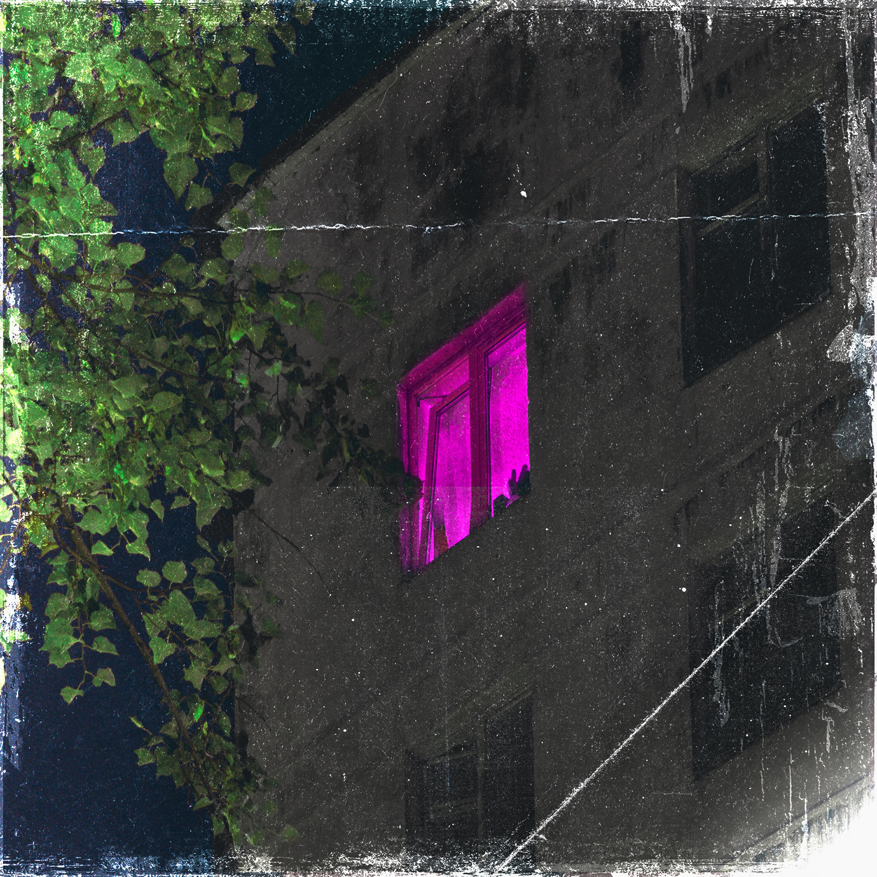 Релиз тик-так