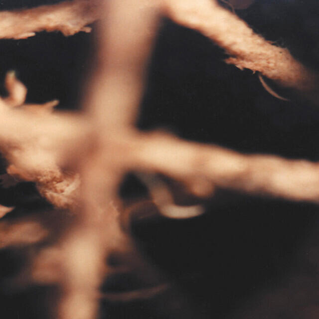 Релиз Twinewheel [Lost-Sides and Dusty-Gems 1994–2005]