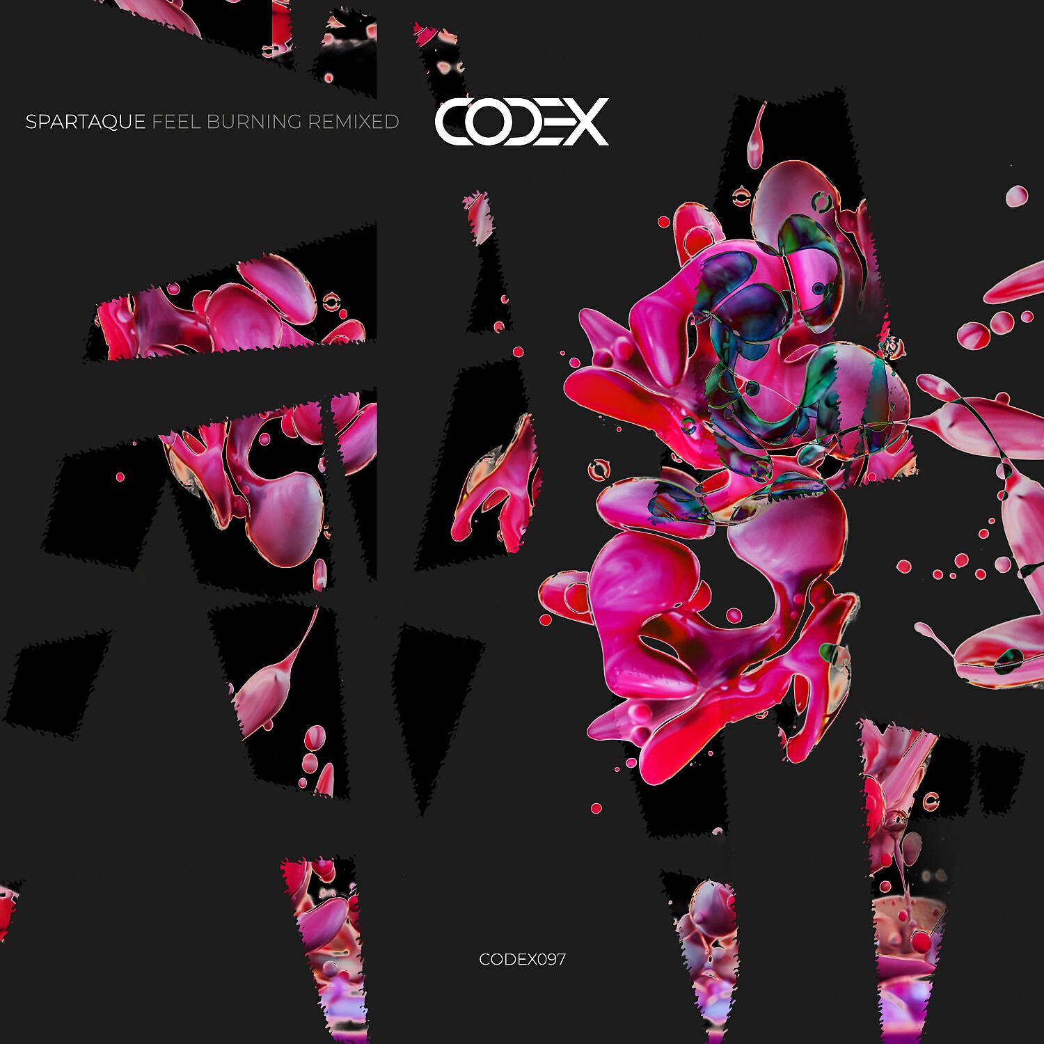 Релиз Feel Burning Remixed
