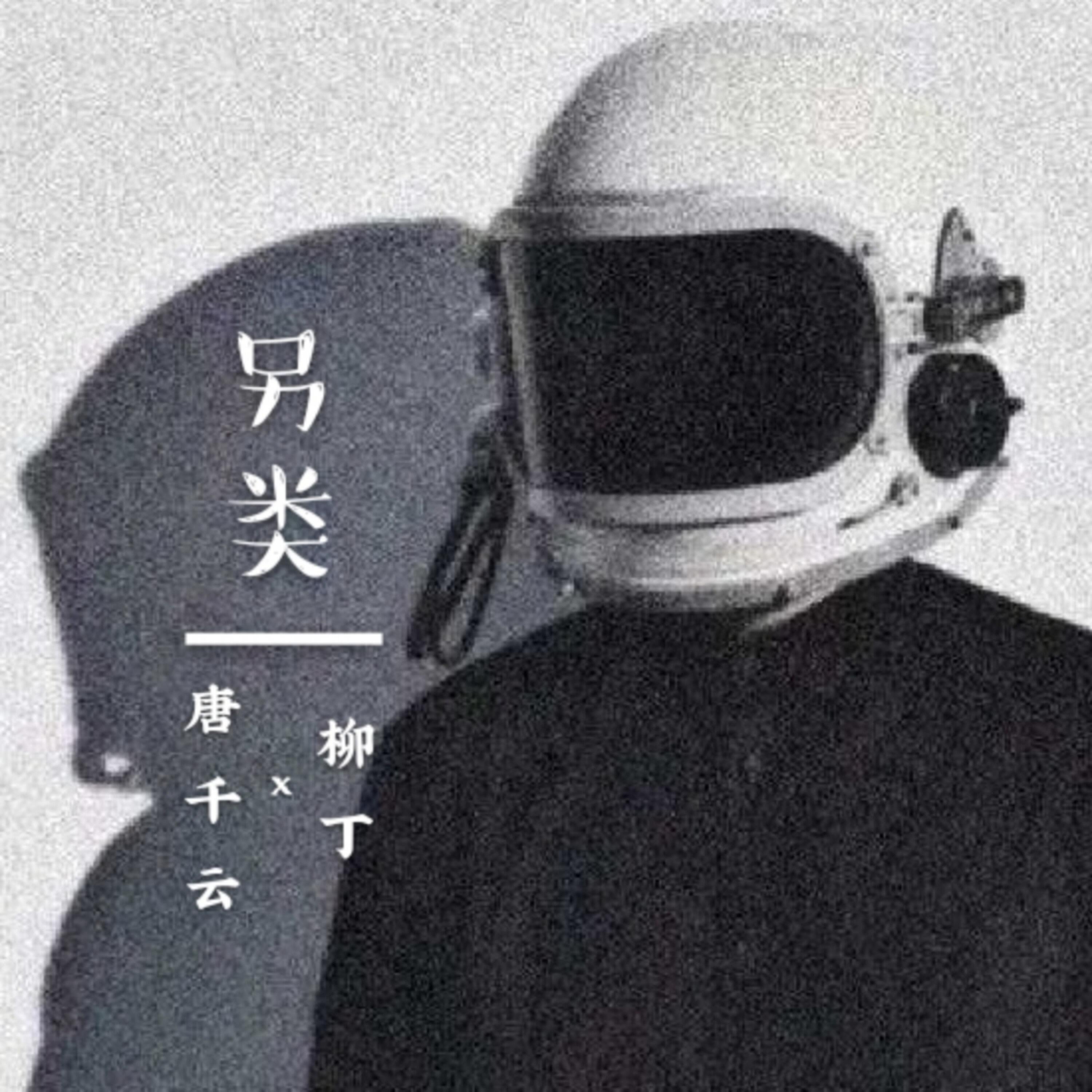 Релиз 另类