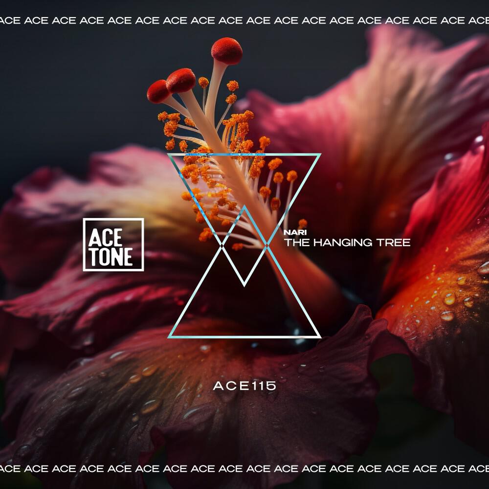 Скачать песню Nari - Shine On (Original Mix) бесплатно в MP3 для Android и iOS