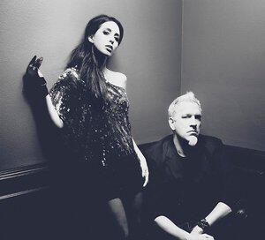 Kidneythieves