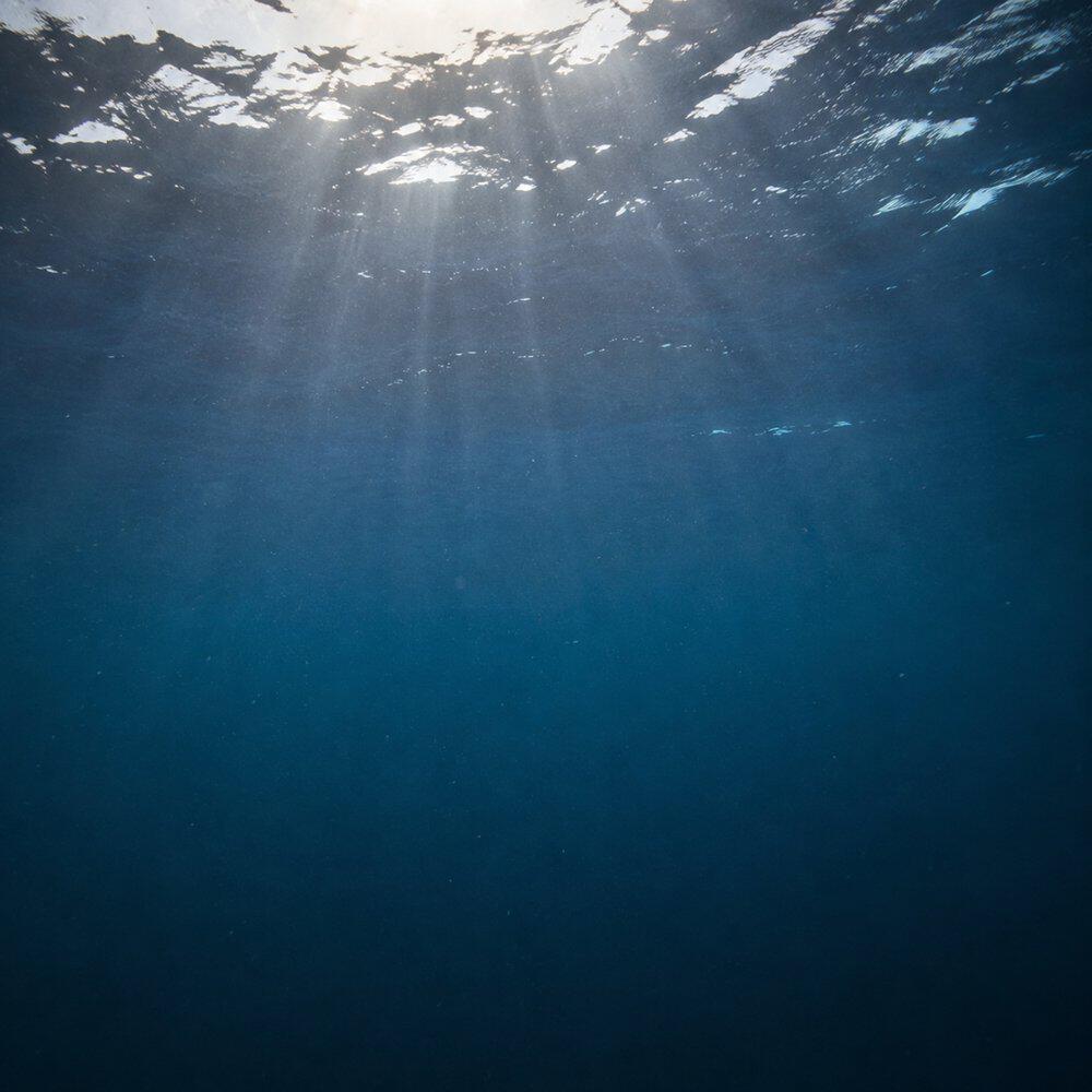 Релиз Пространство моря