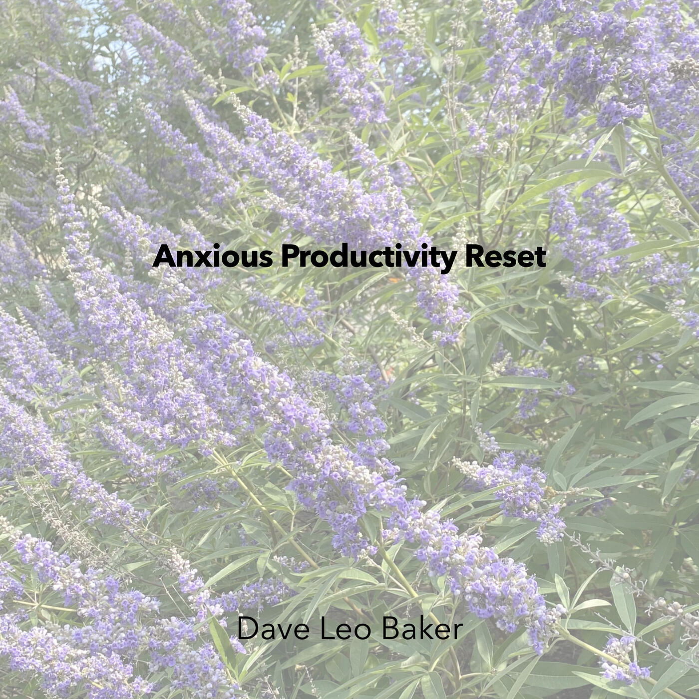 Релиз Anxious Productivity Reset