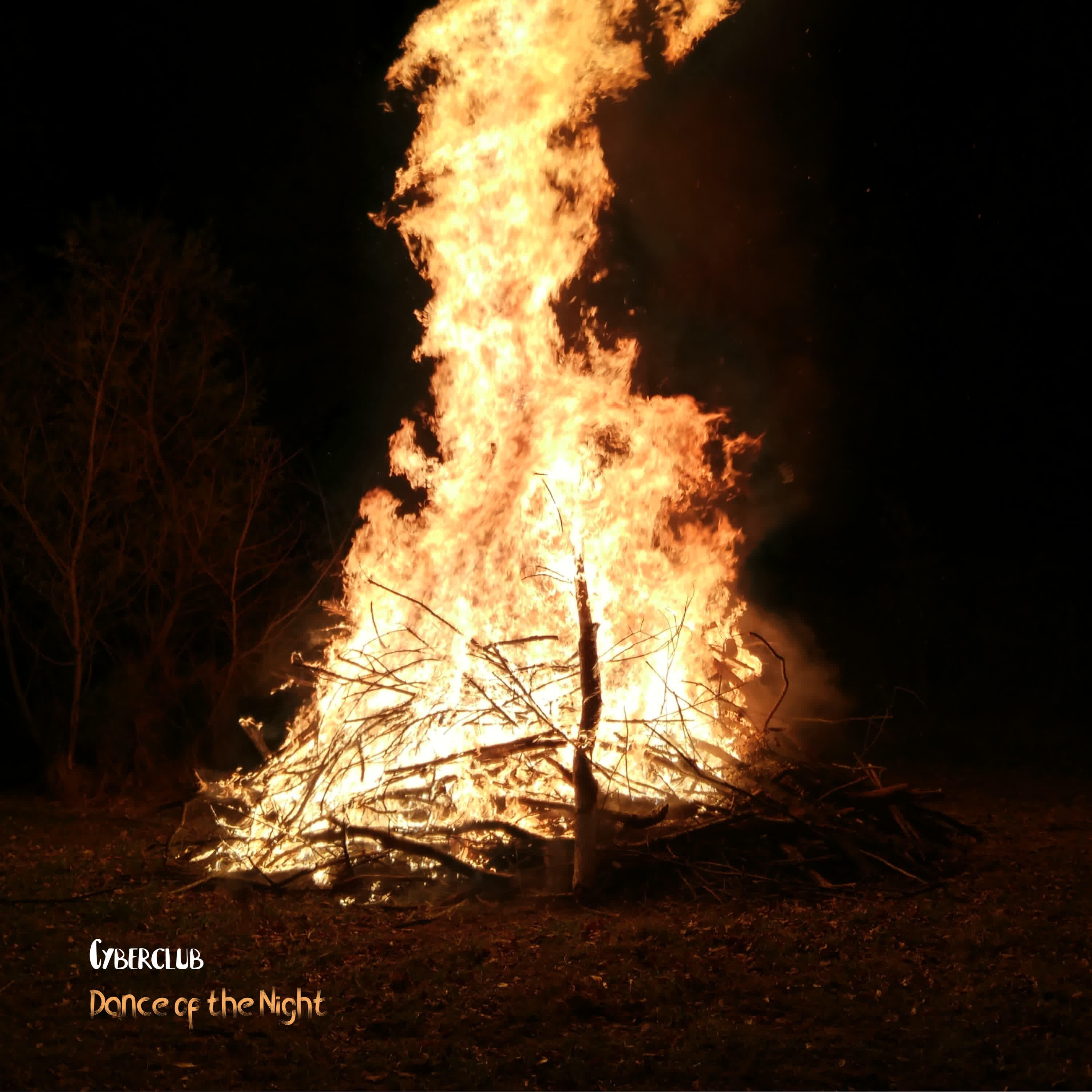 Релиз Dance of the Night