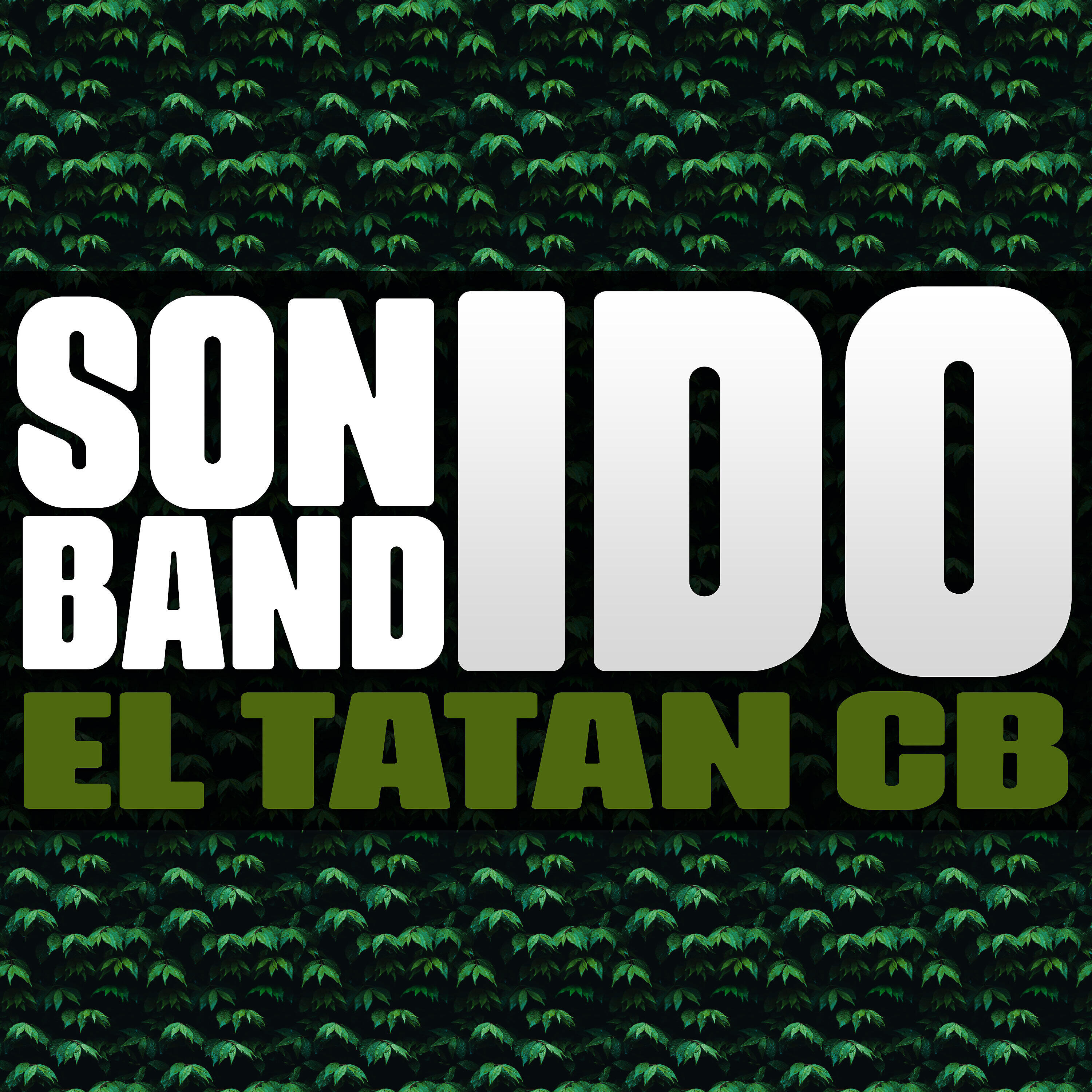 Релиз Sonido Bandido