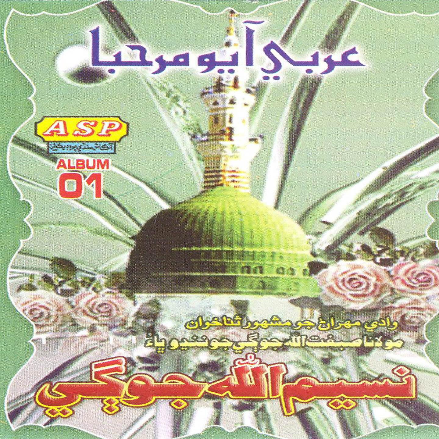 Naseem Ullah Jogi