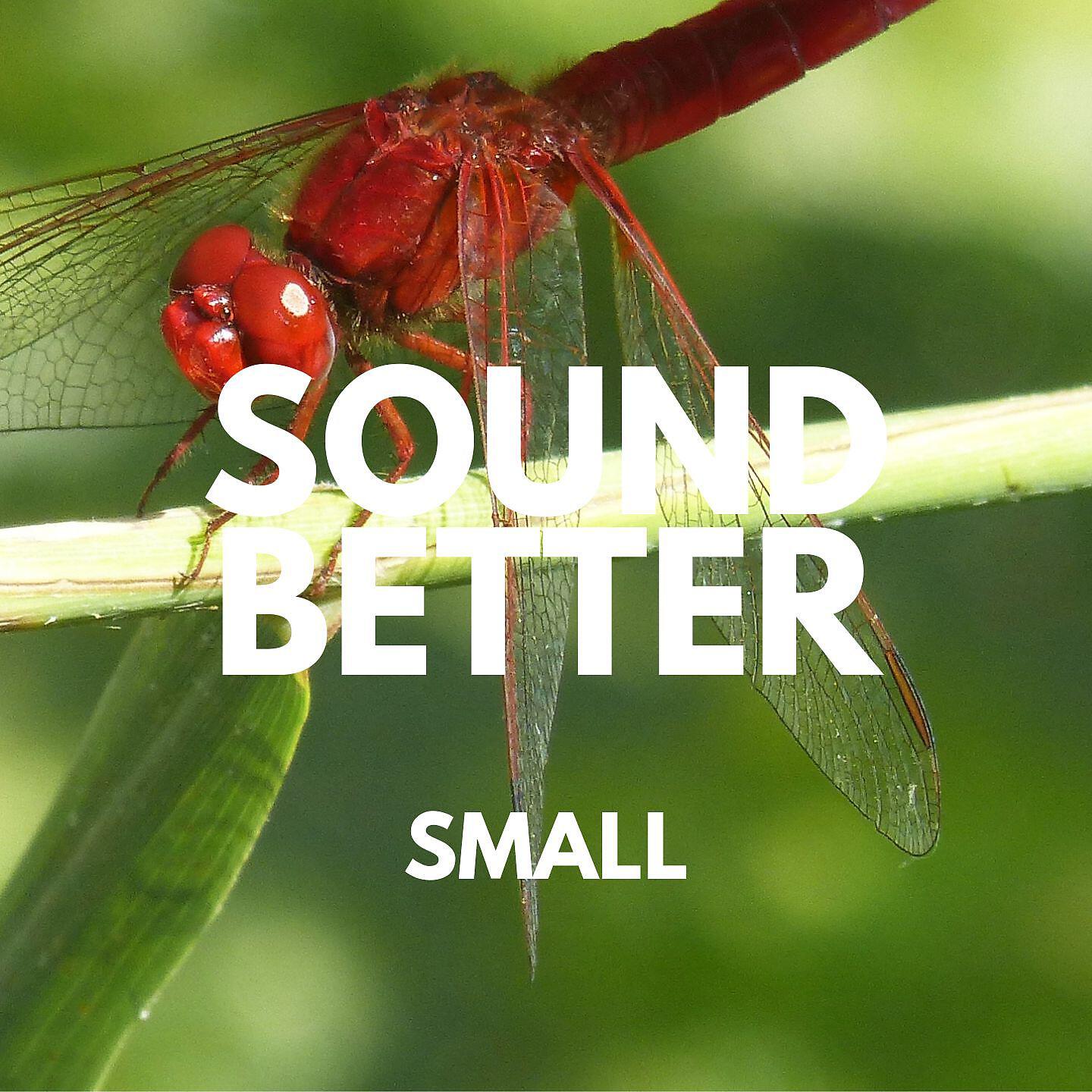 Релиз Small
