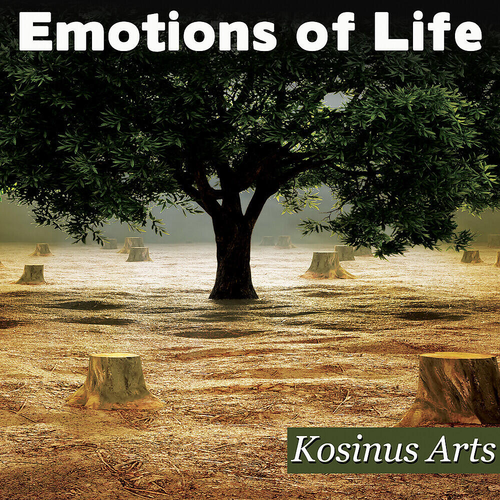 Релиз Emotions Of Life