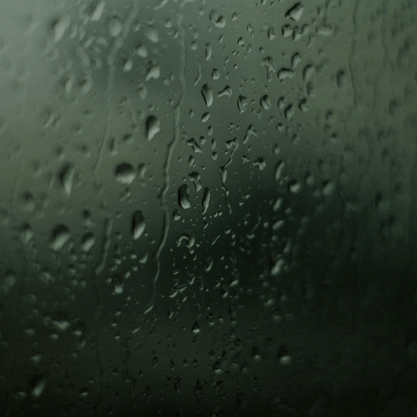 Релиз Rainy Day Reverie