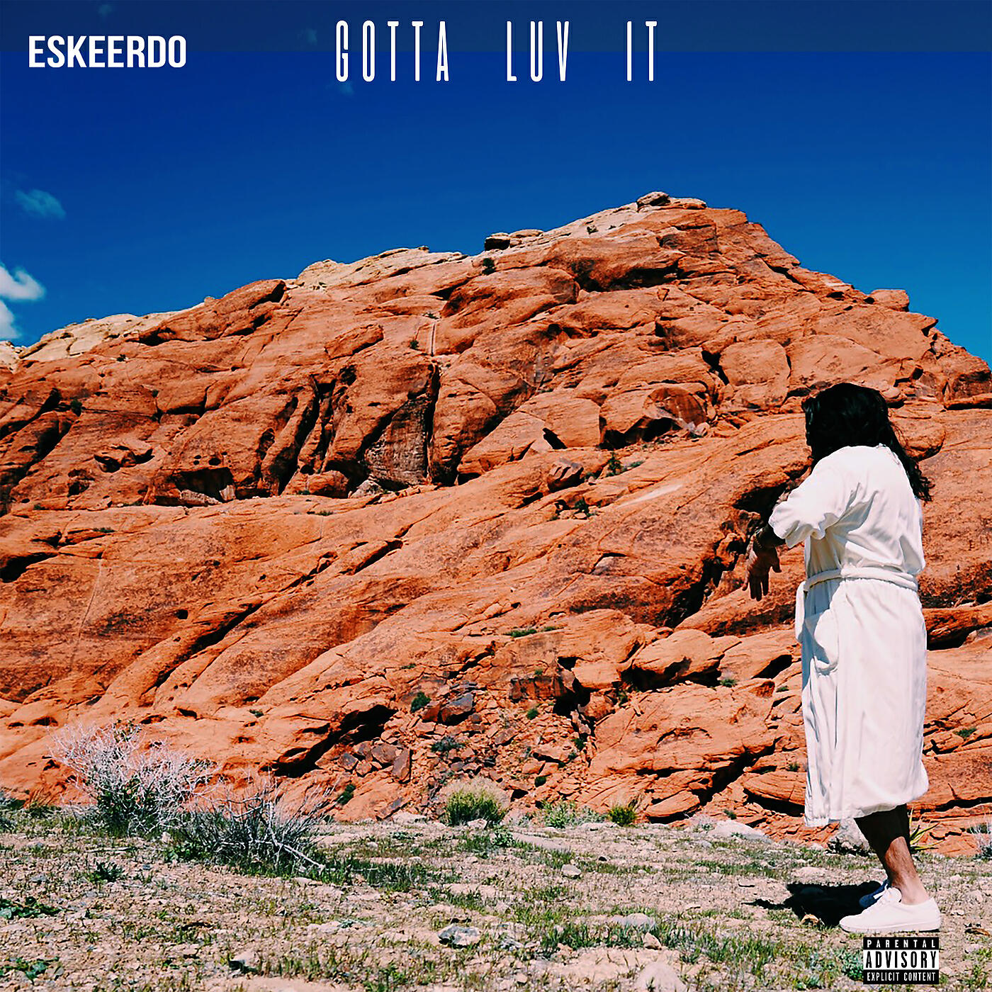 Релиз Gotta Luv It