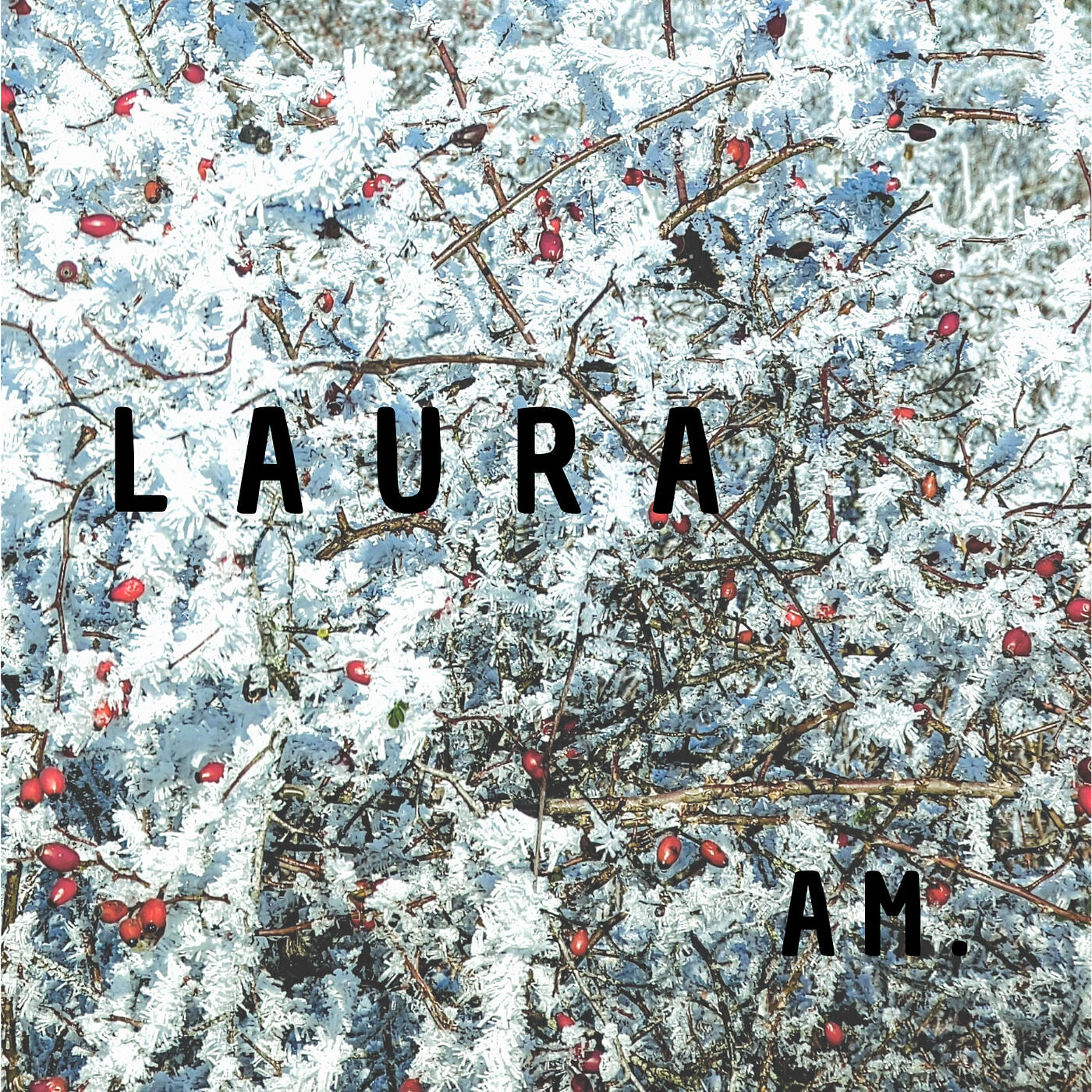 Релиз Laura