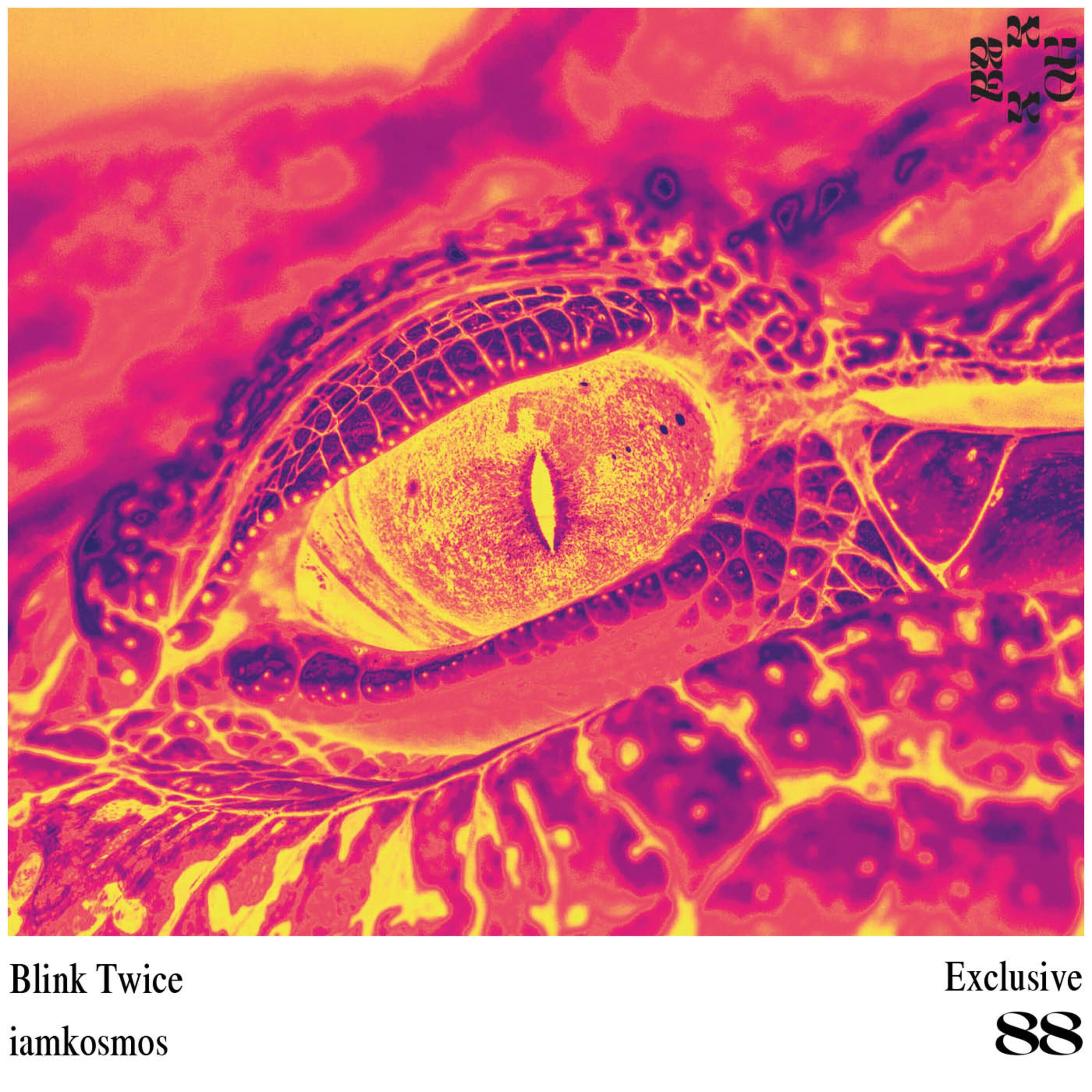 Релиз Blink Twice