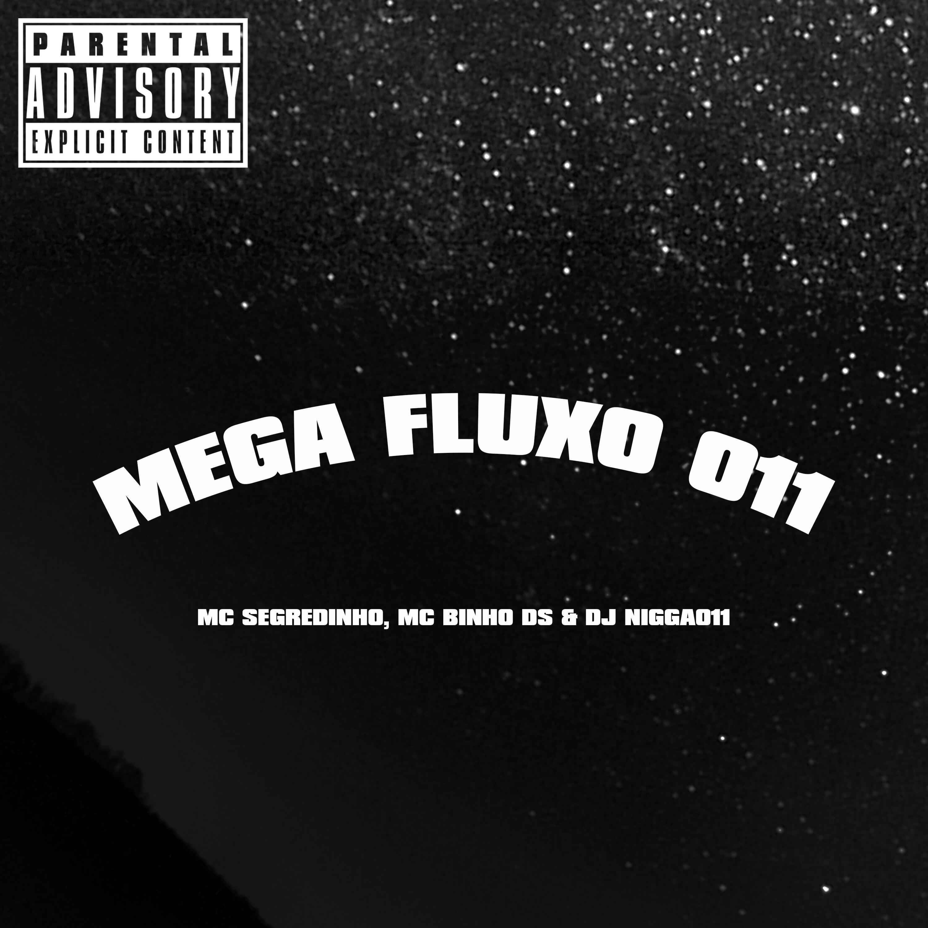 Трек Mega Fluxo 011