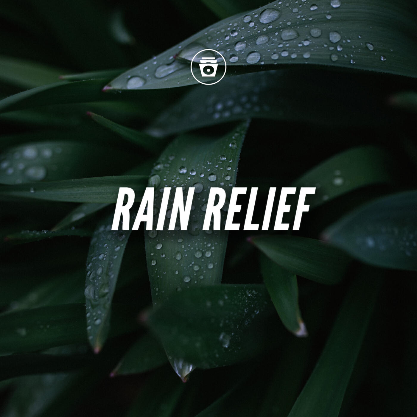Релиз Rain Relief