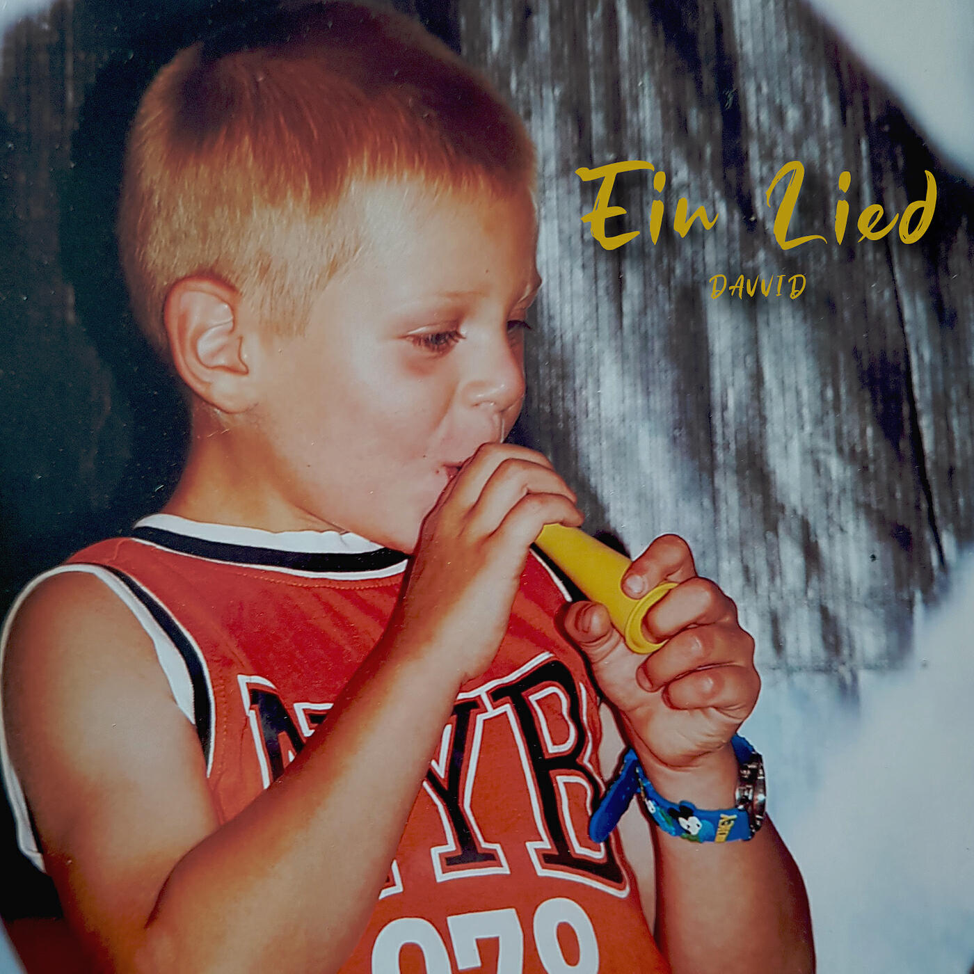 Релиз Ein Lied